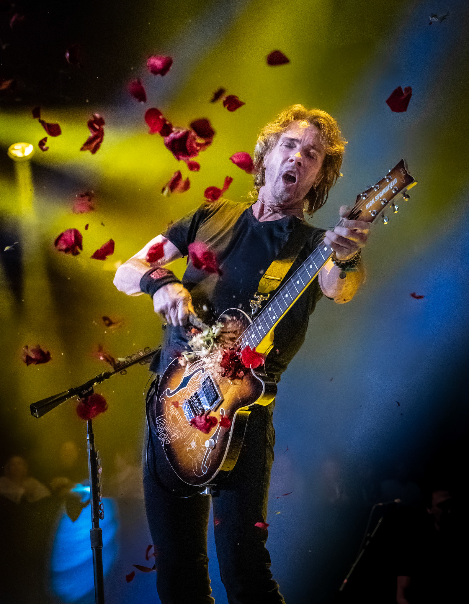 Rick Springfield