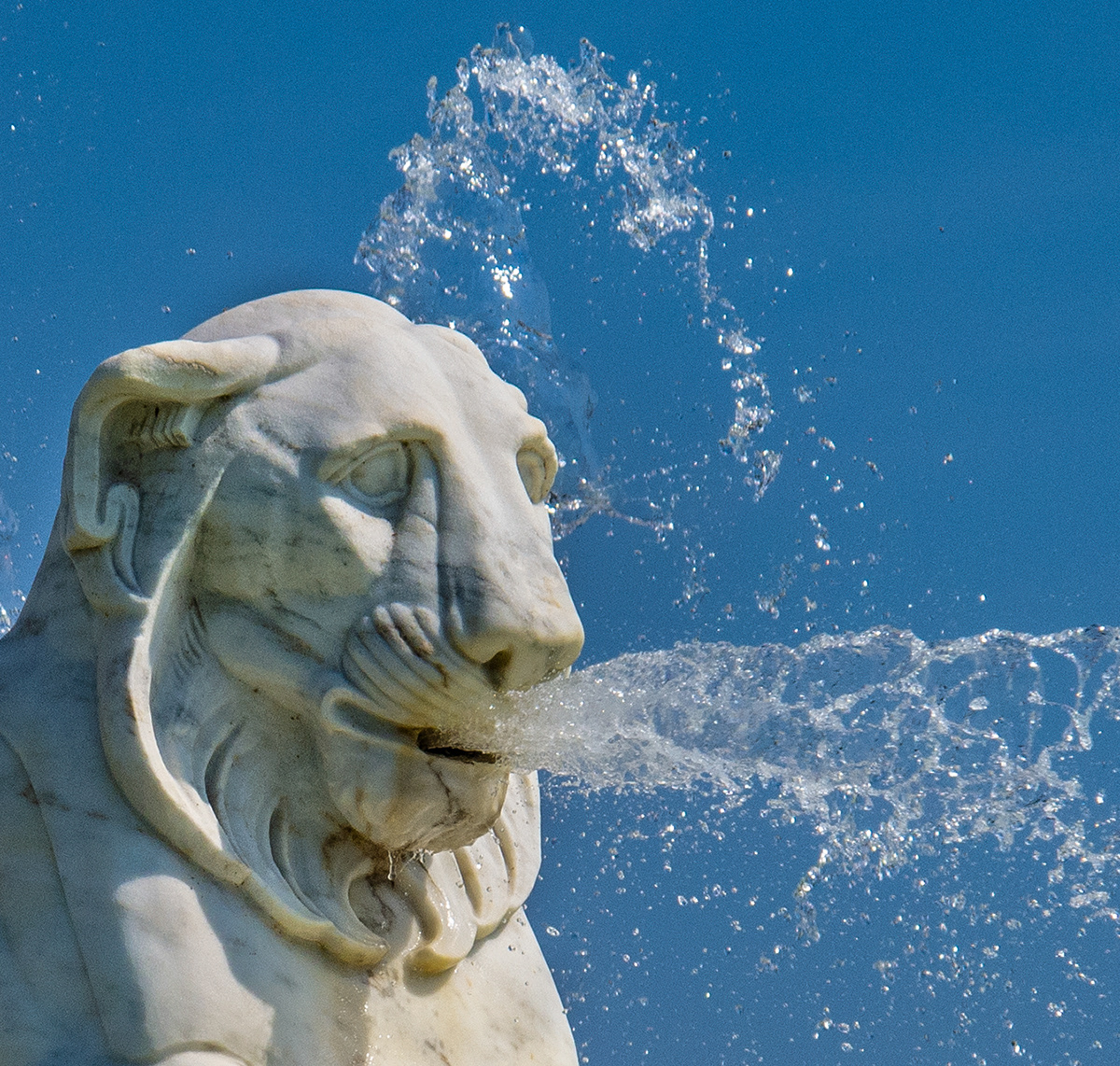 Belle Isle fountain