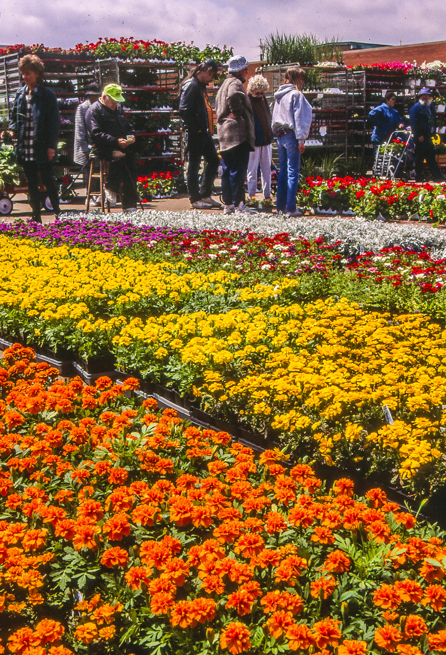 Eastern Market Flower Day