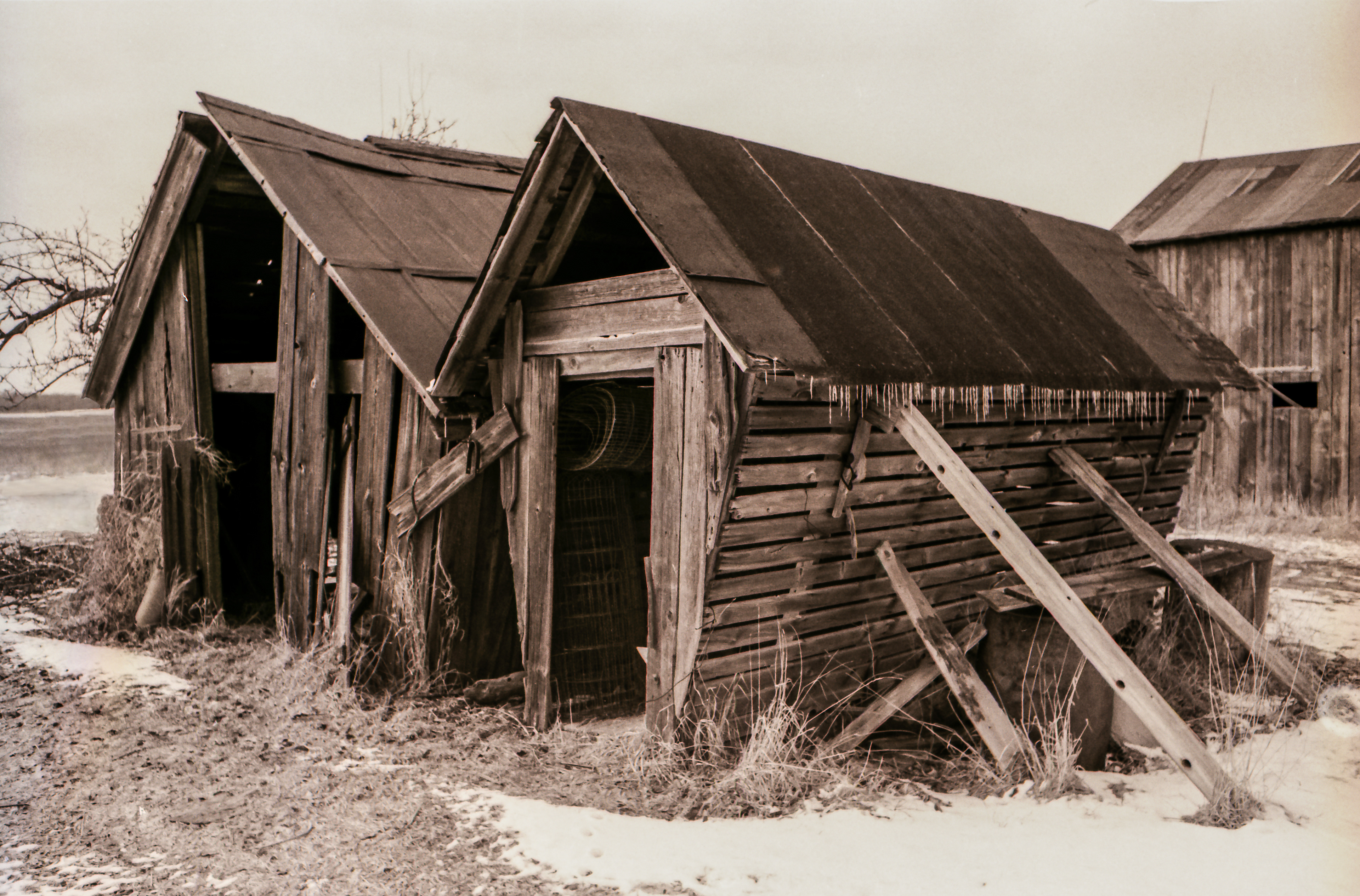 Old farmyard
