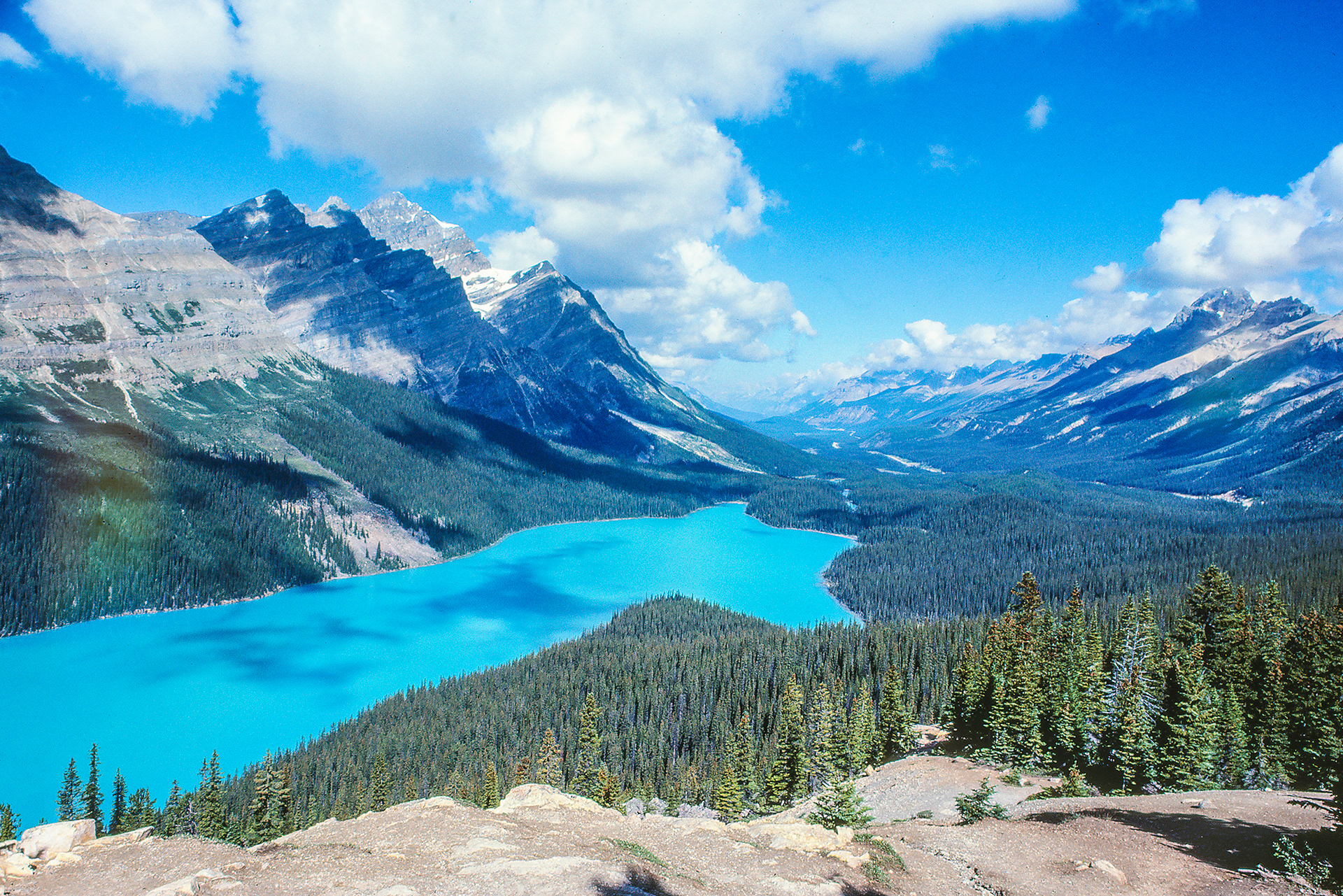 Peyto Lake