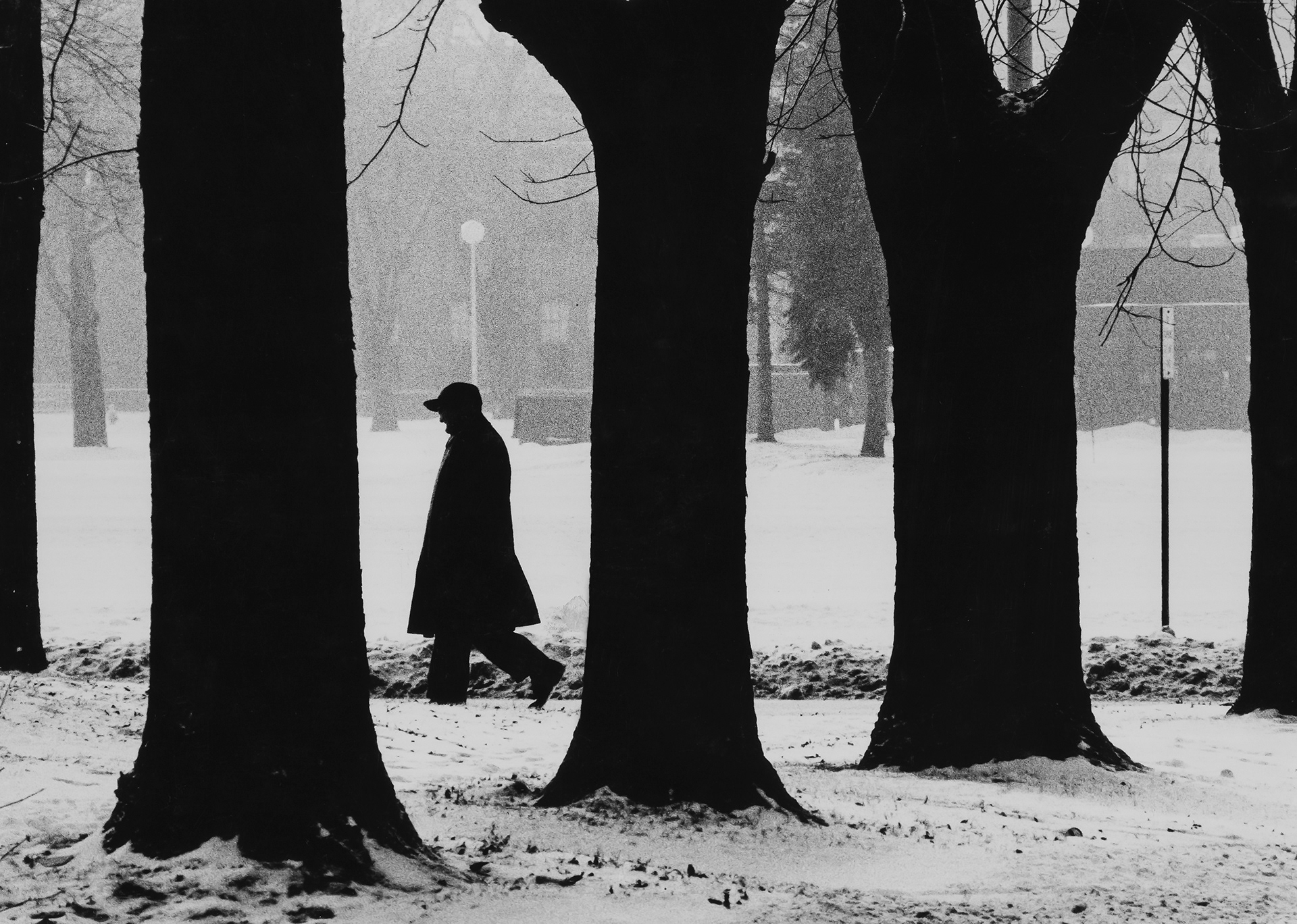 Lonely walk in the snow