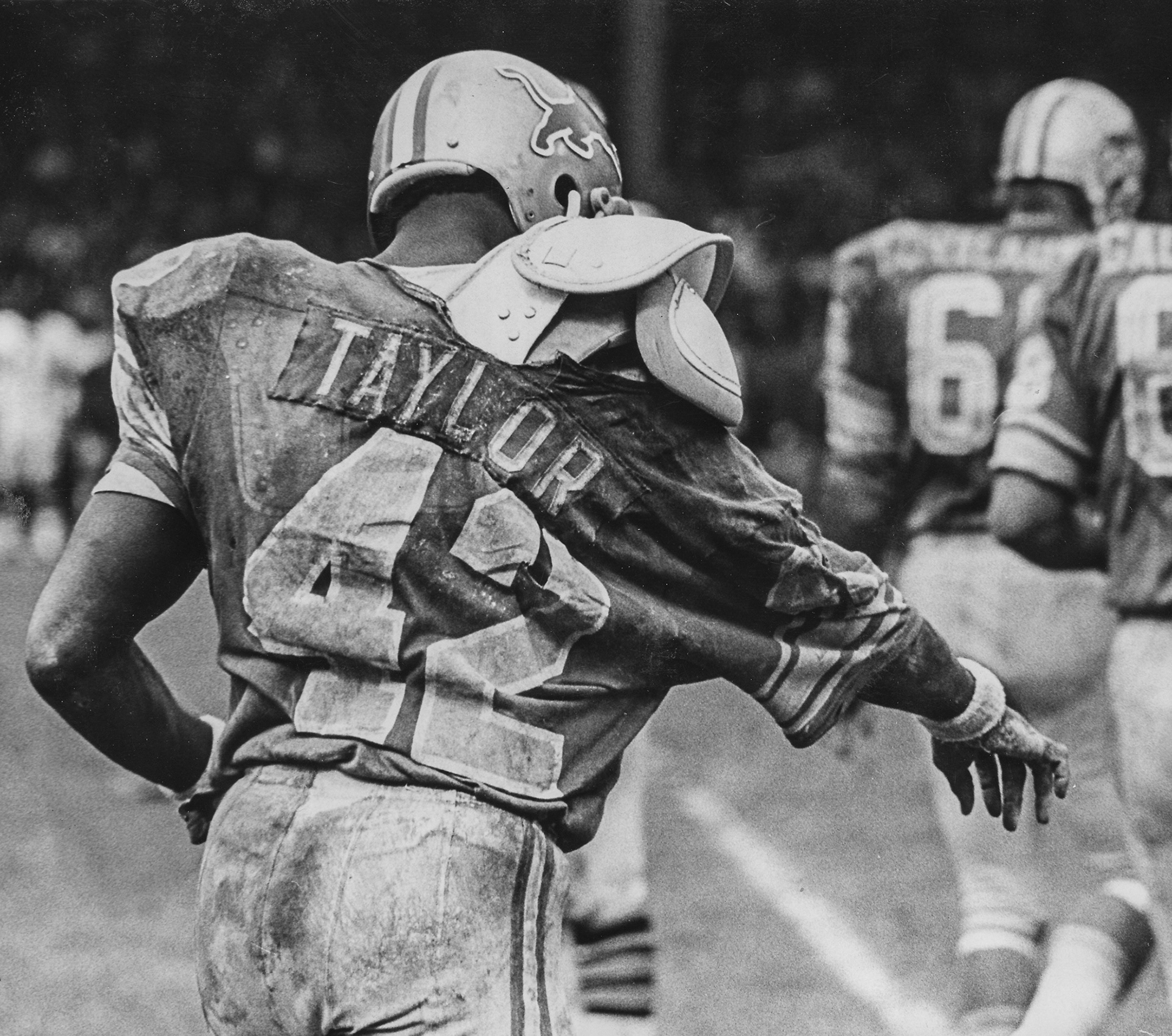 Detroit Lions