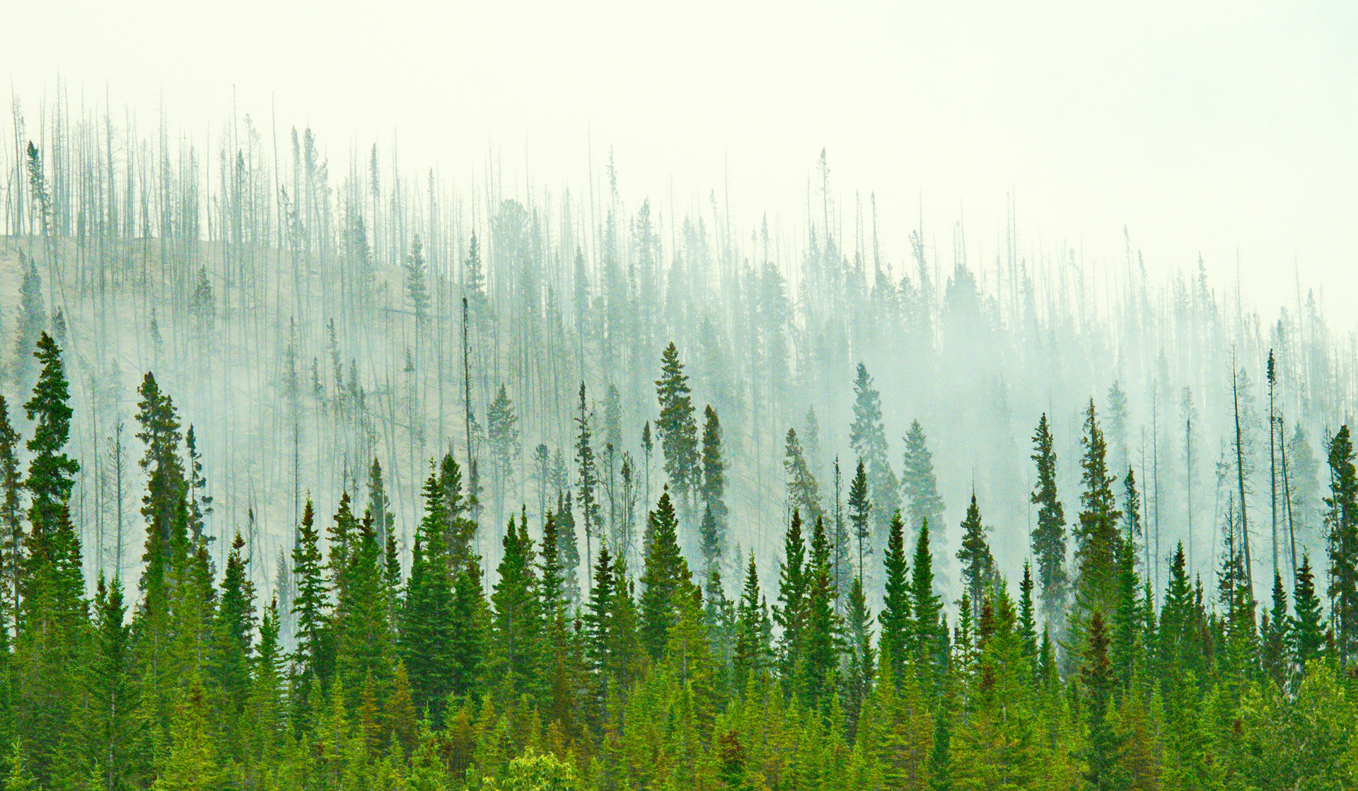 Wildfire smoke in the Canadian Rockies