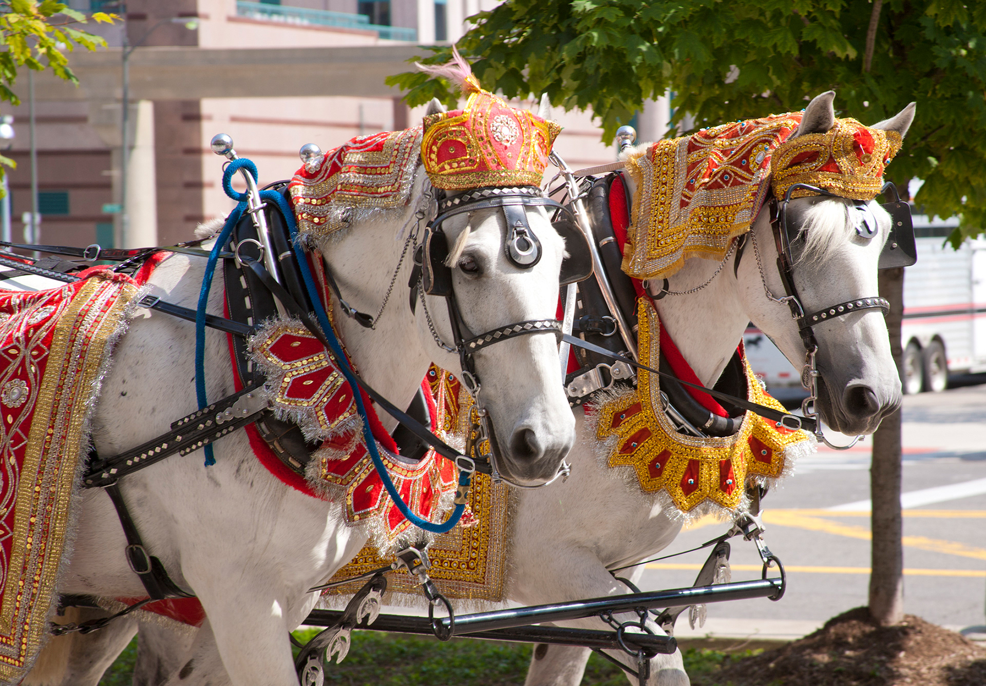 Traditional Indian wedding at Cobo