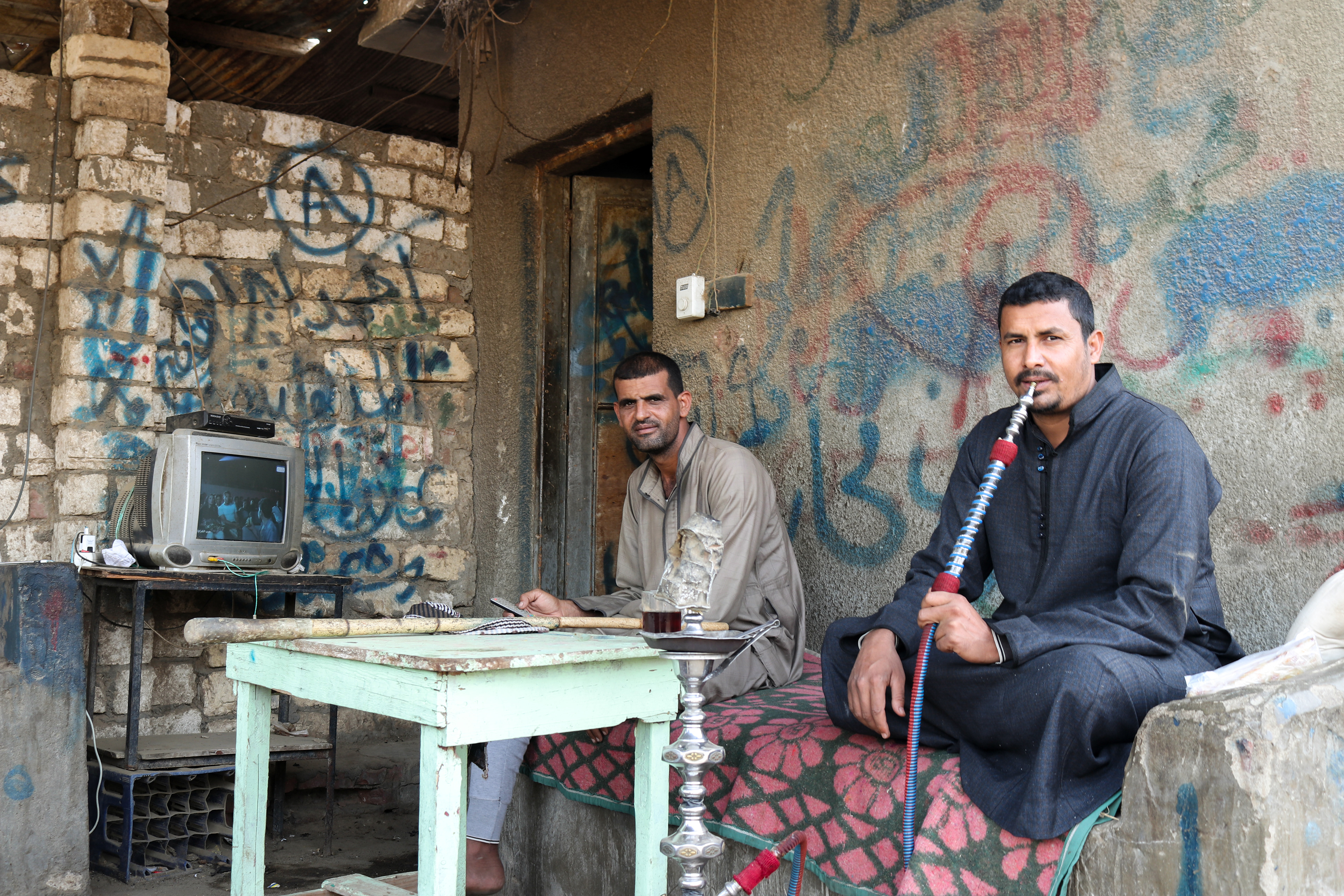 Birqash gamels market - Giza, Egypt