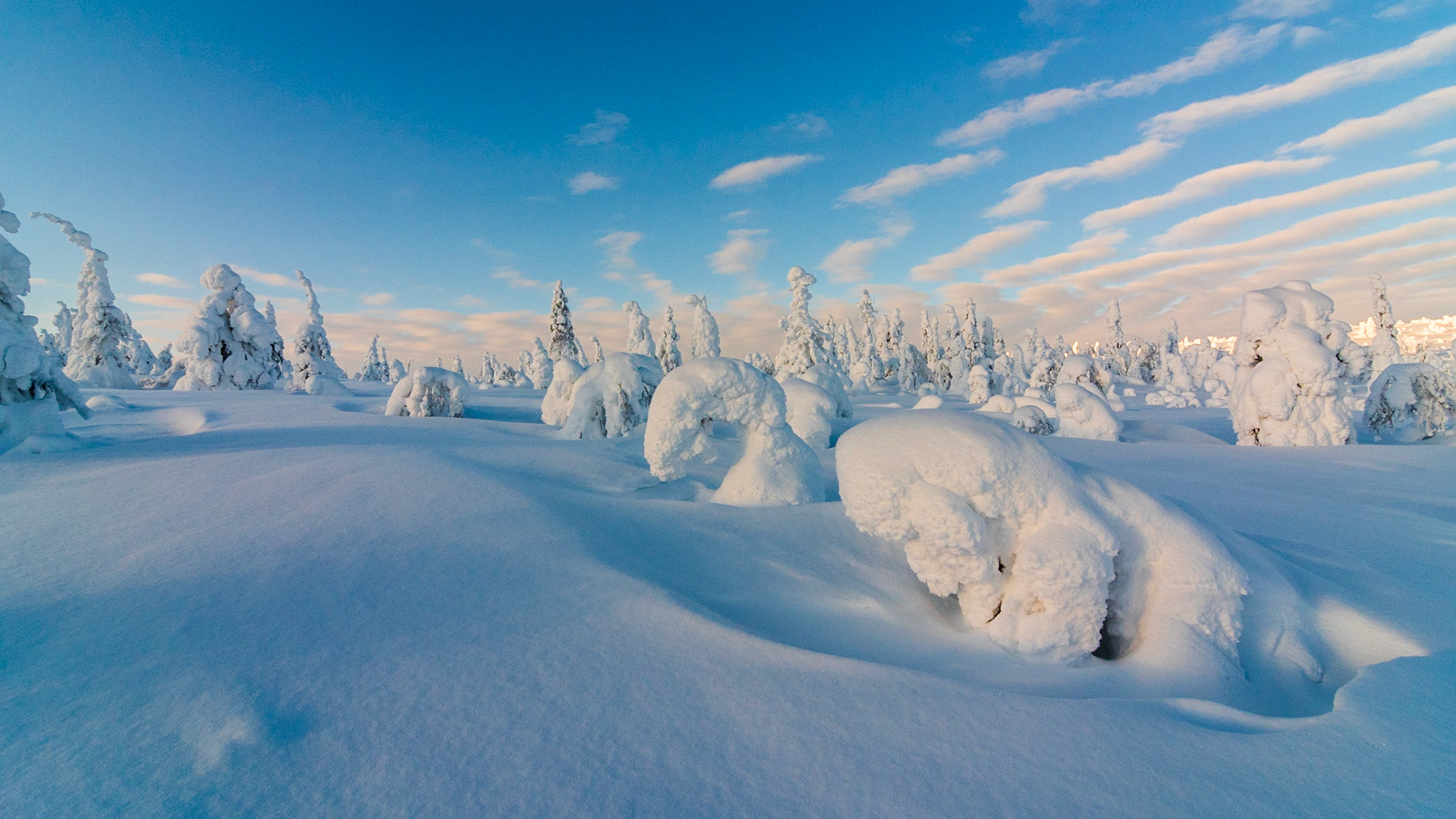 Sneeuw en rijp op bomen op hoogvlakte in Finland, ©Fred van Wijk 2019