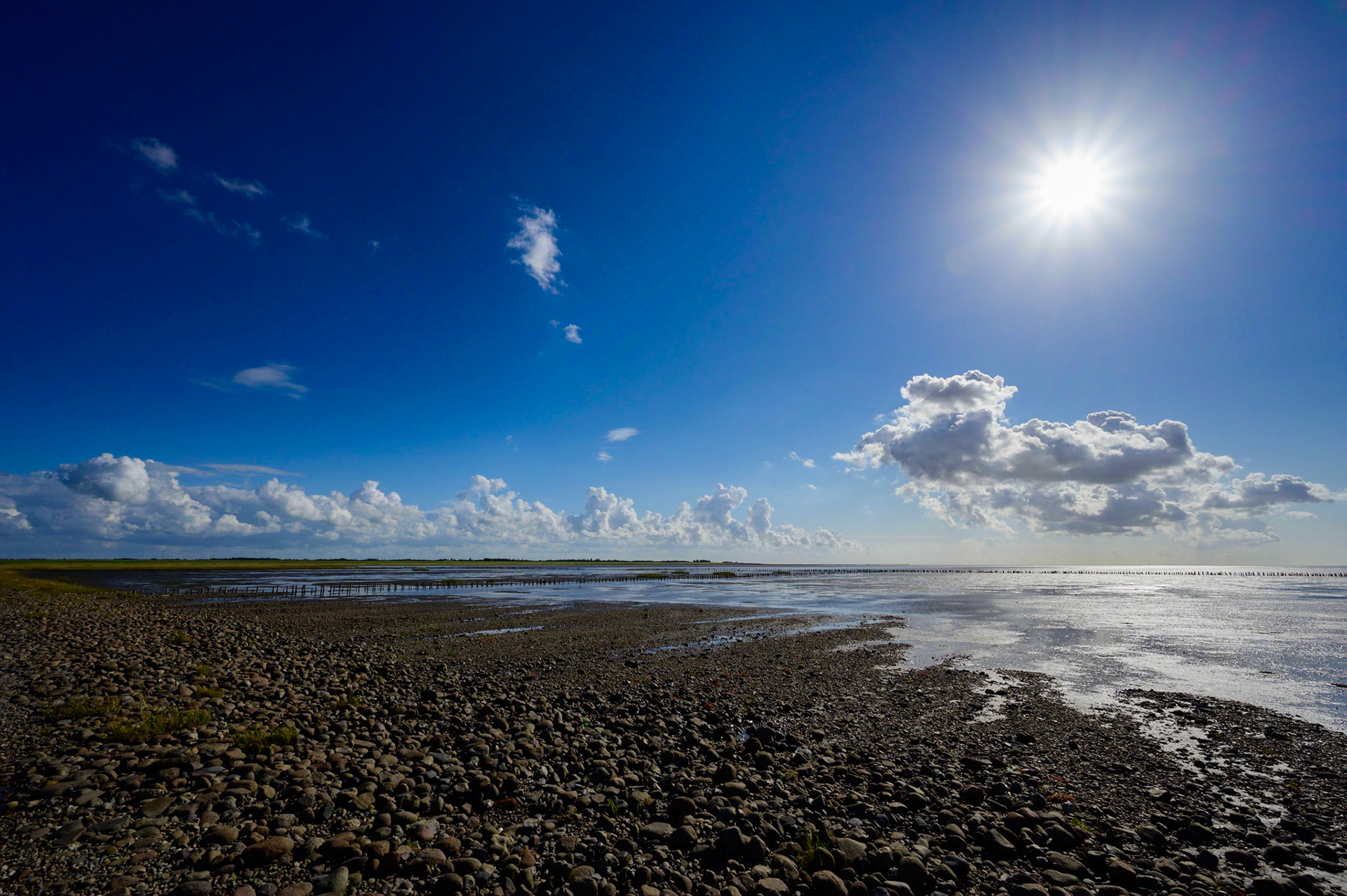 Salt marshes during low tide along a road through the sea to the island of Mandø in Vadehavet National Park, Denmark