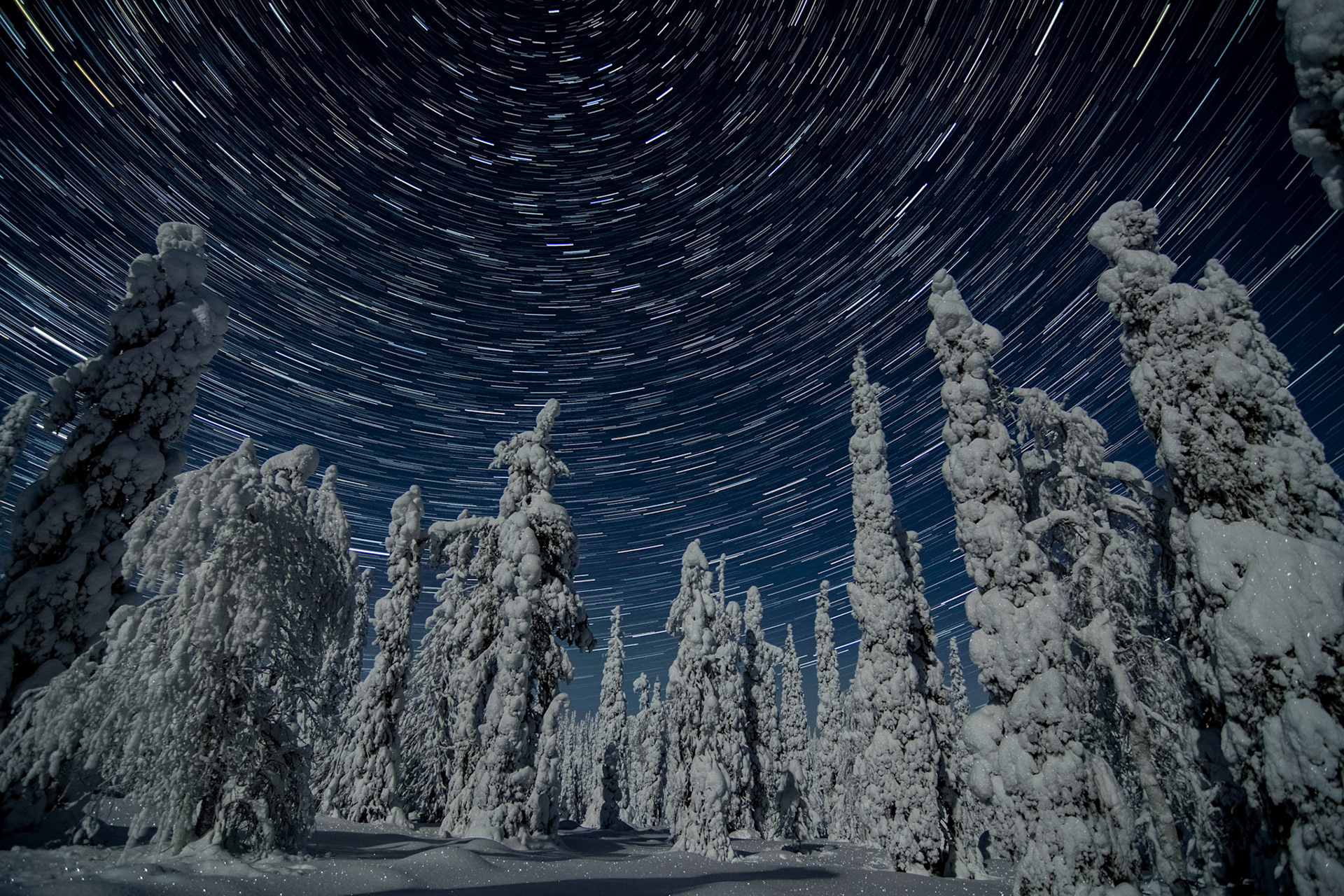 Sterren boven winterlandschap bij maanlicht, ©Fred van Wijk 2019
