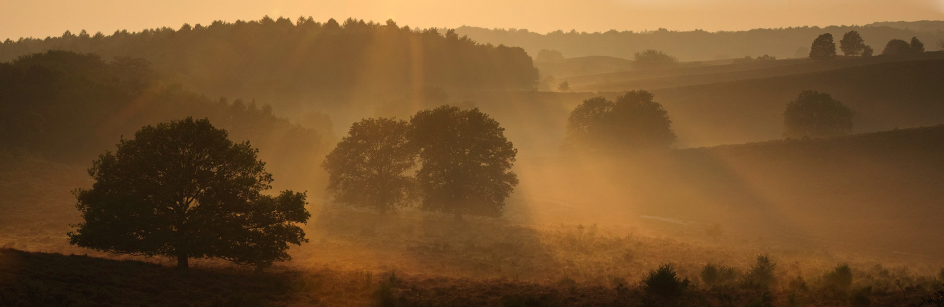 Een fantastische zonsopkomst tussen de stuwwallen van Veluwezoom. Dit is een samengestelde compositie uit drie afzonderlijke foto's.