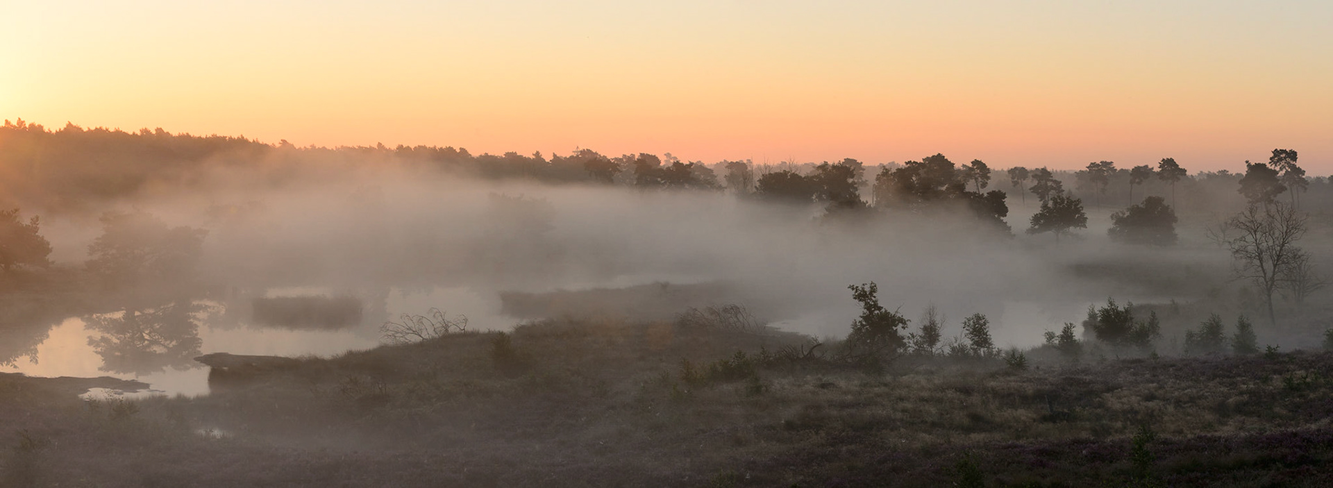Ochtendmist boven een ven De Maasduinen