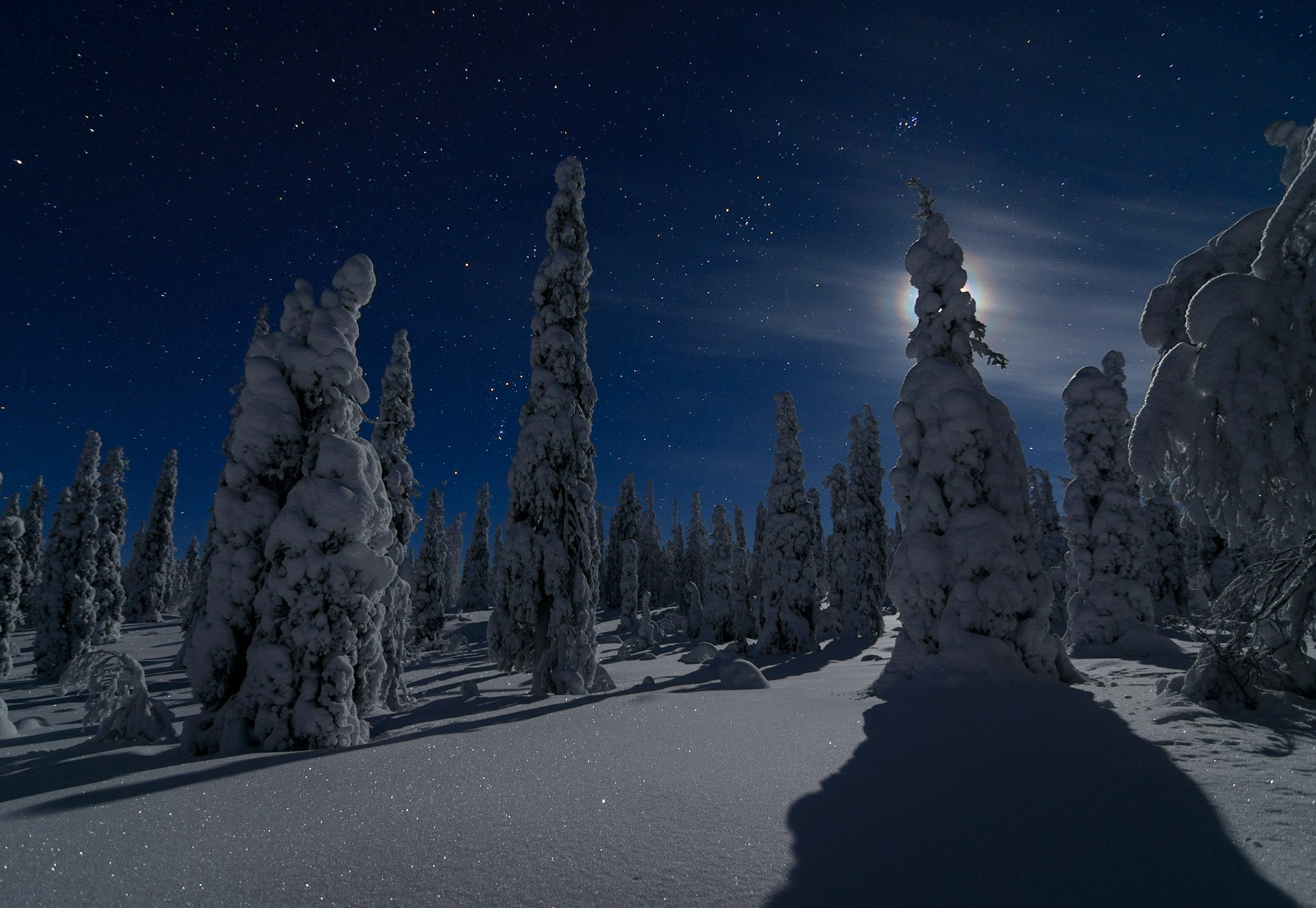 Sterren boven winterlandschap bij maanlicht, ©Fred van Wijk 2019