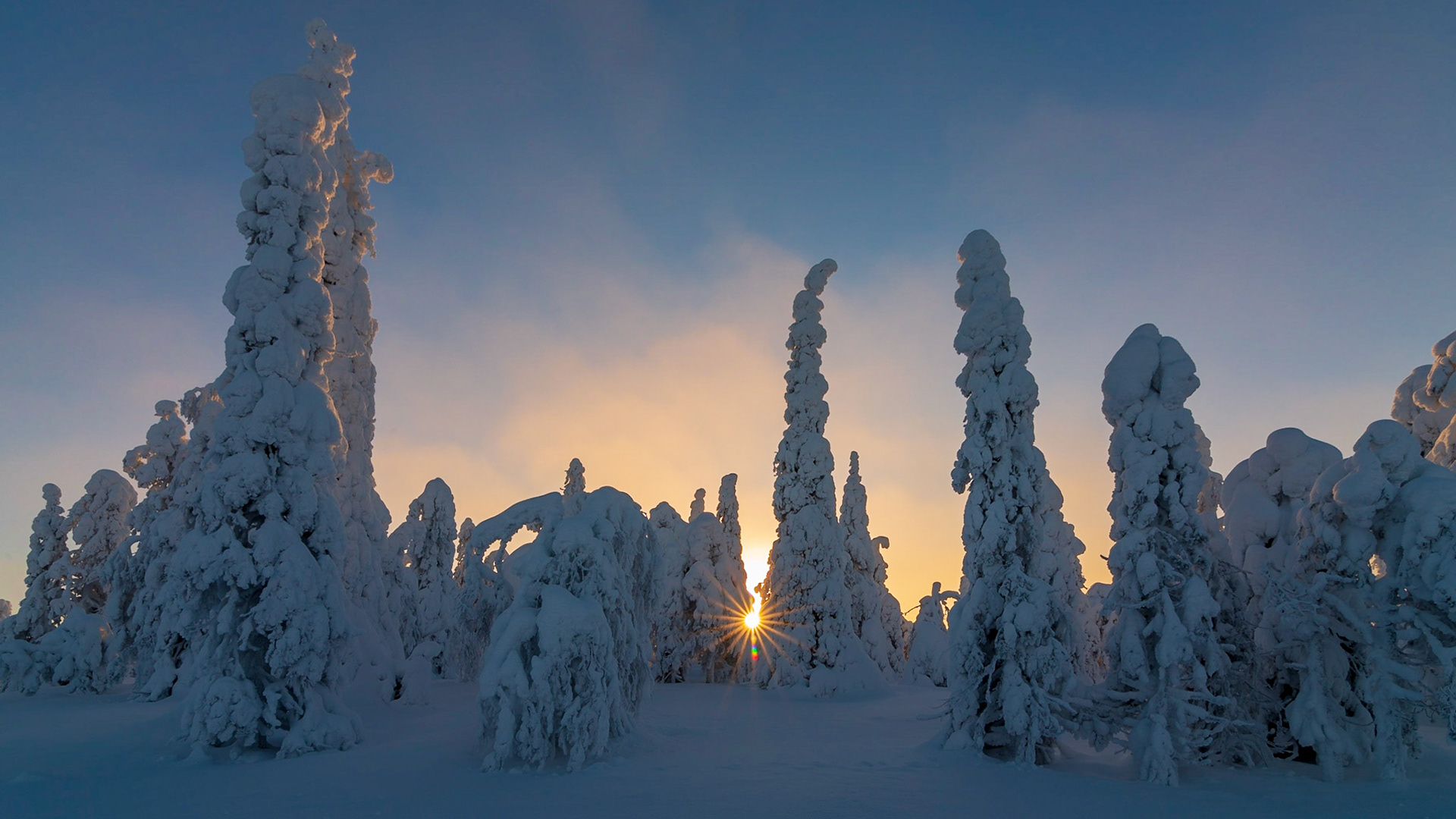 zonsopkomst met mist, ©Fred van Wijk 2019