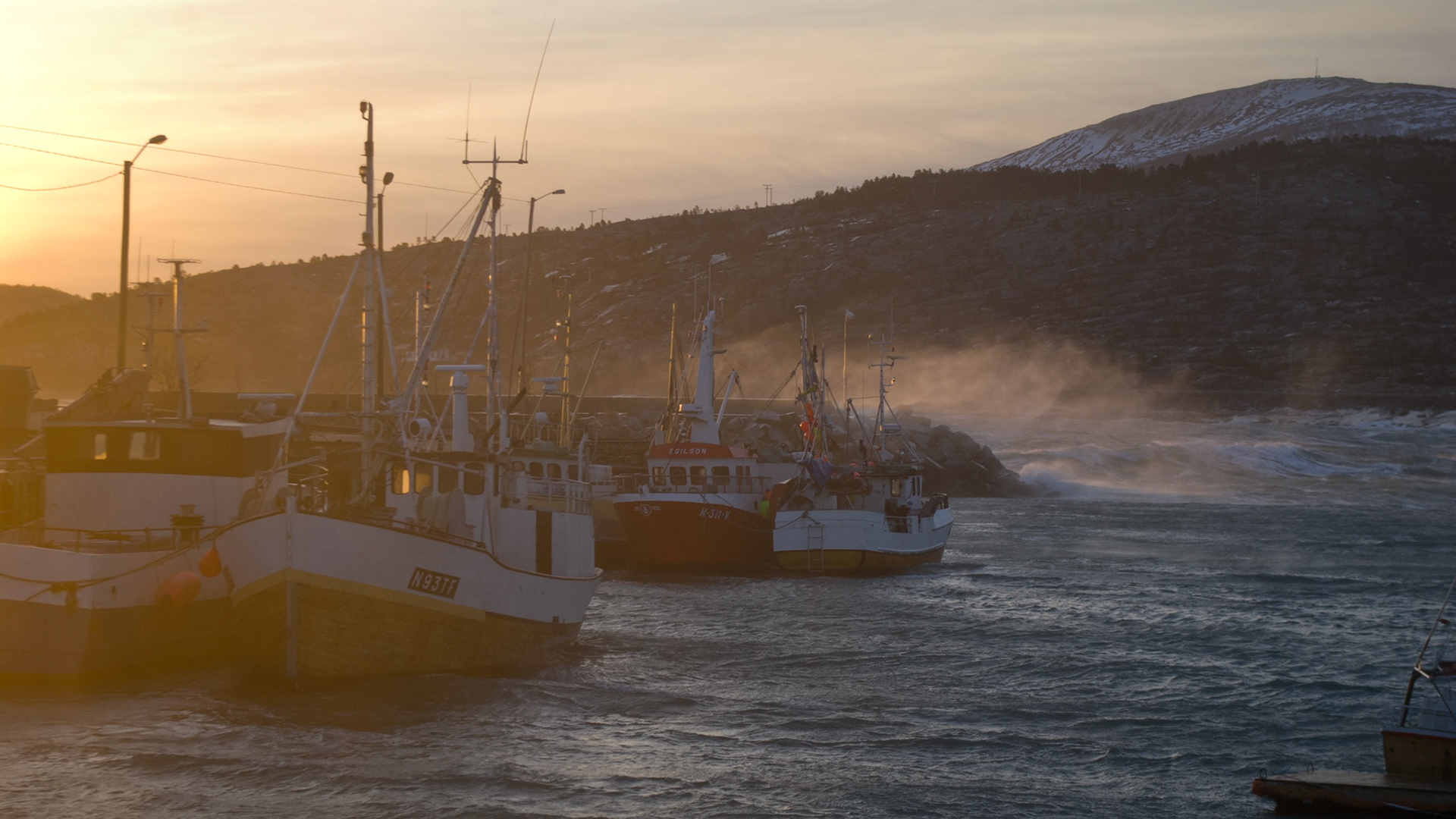 In januari 2006 raasde een orkaan over Noord Noorwegen, waardoor het niet mogelijk was om orkasafari's te houden.