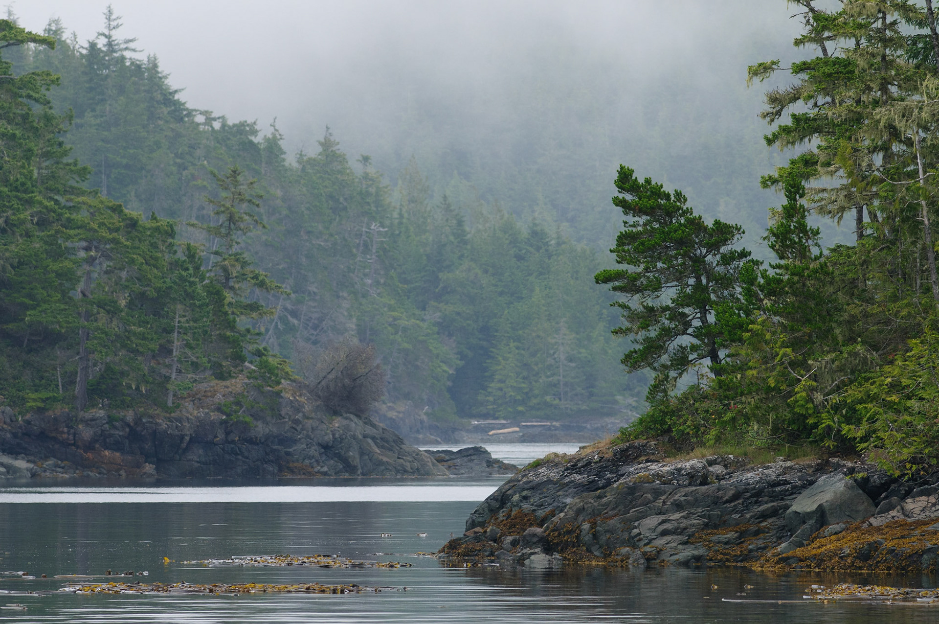 Eilandjes in de mist, Johnstone Strait. Dit is het landschap waar je in vaart tijdens een walvissafari aan de oostkust van Vancouver Island.