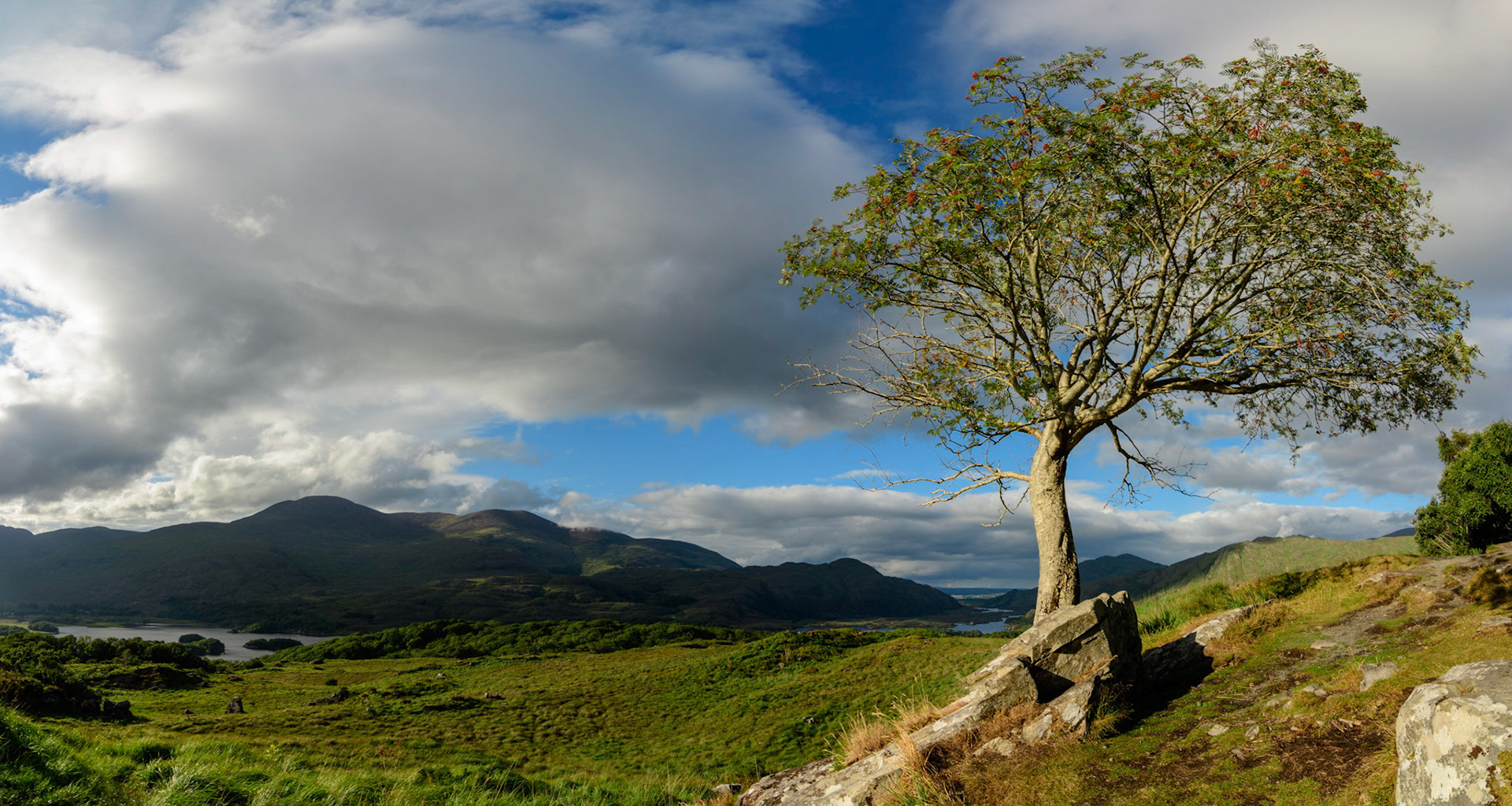 Killarney National Park, Ierland