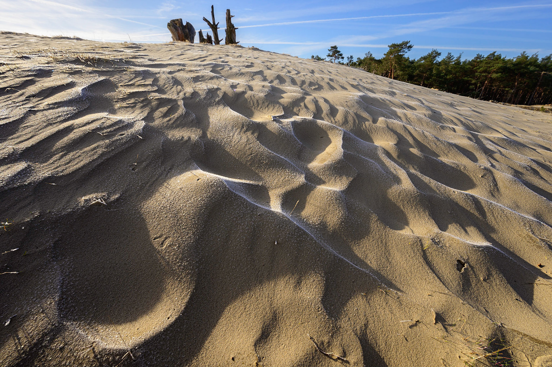 Door wind gevormde vormen in stuifzand met rijp in de schaduw; Wind formed shapes in sand dunes with frost in the shadow
