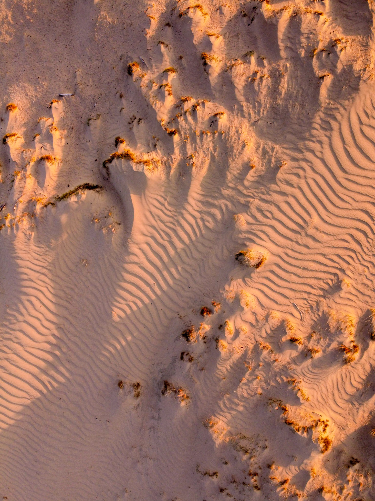 Luchtopname van door wind gevormde patronen in stuifzand met schaduwen en laag strijklicht; Wind formed shapes in sand dunes with low light and shadows