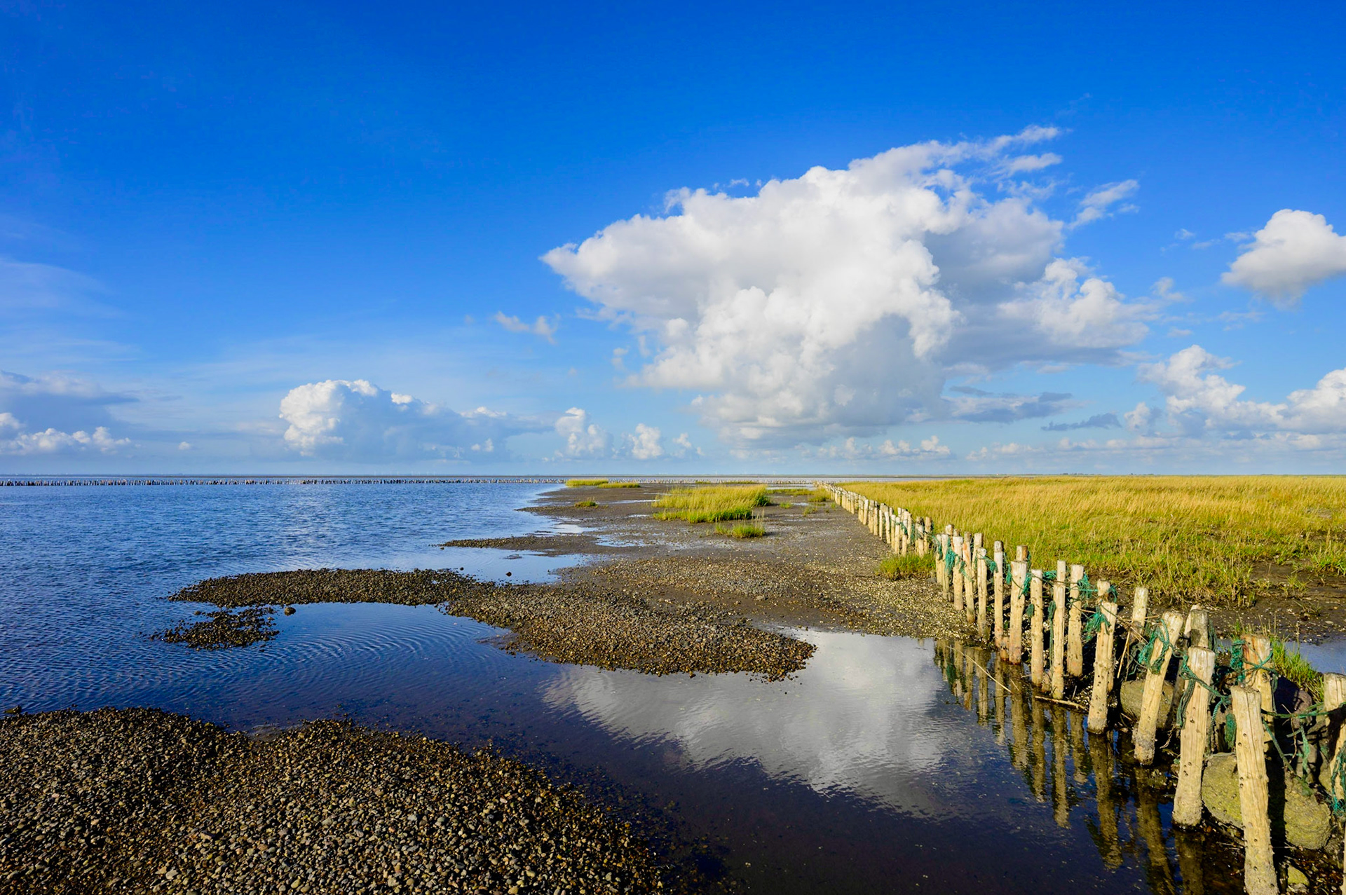 Salt marshes during low tide along a road through the sea to the island of Mandø in Vadehavet National Park, Denmark