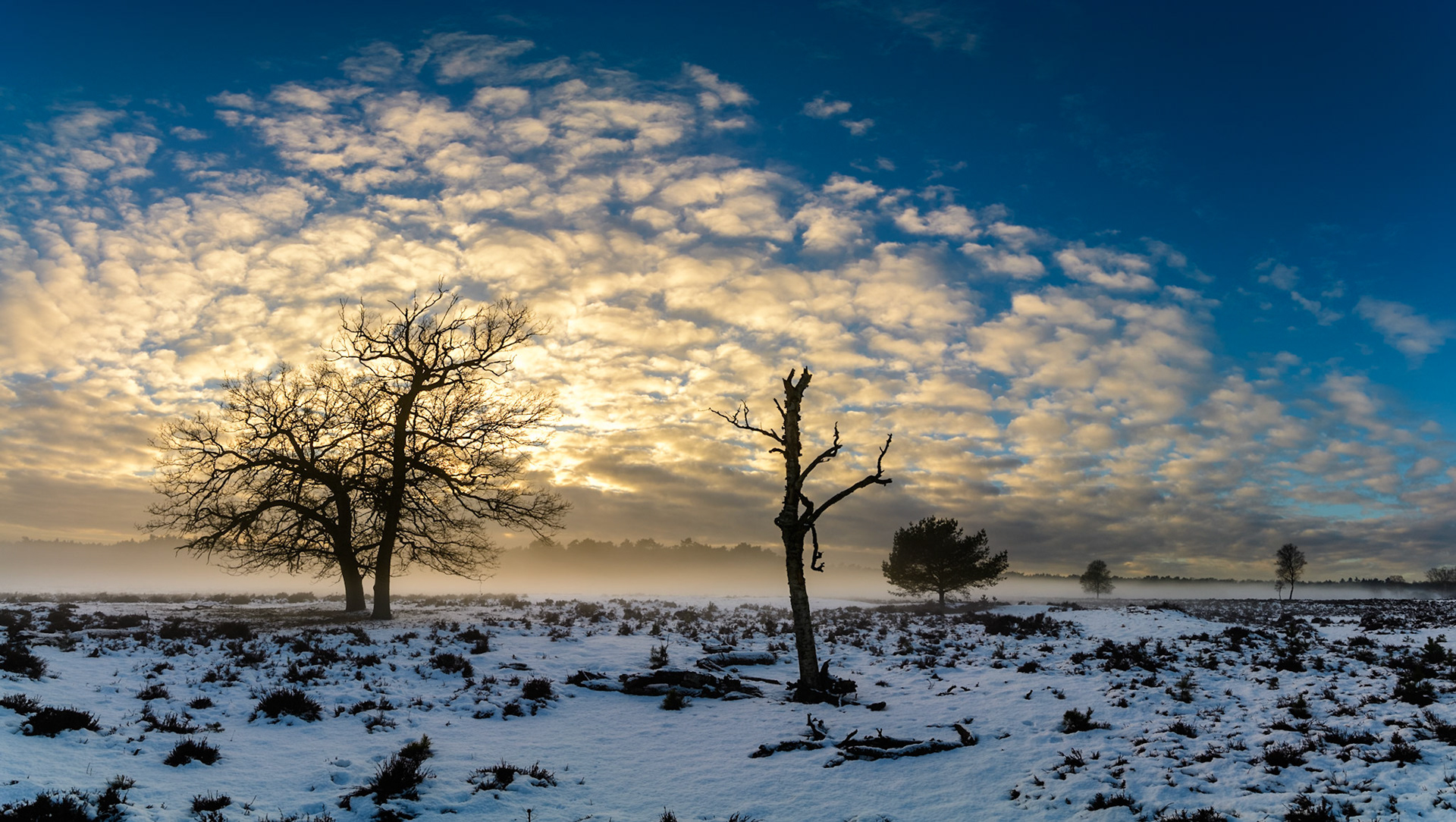 Ede, 15 januari 2017. Wolken en mist boven een heideveld met sneeuw. Planken Wambuis, Veluwe. 