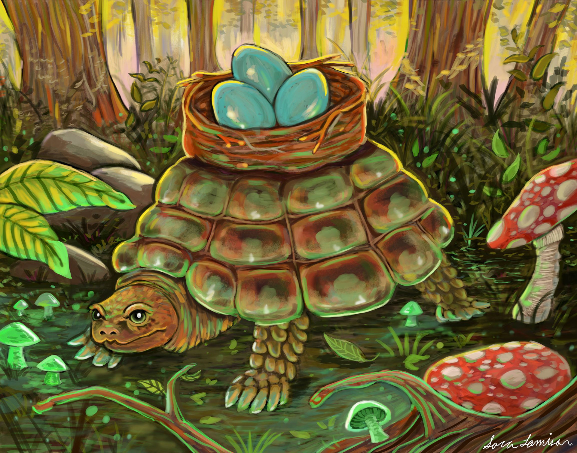 The Tortoise of The Forest