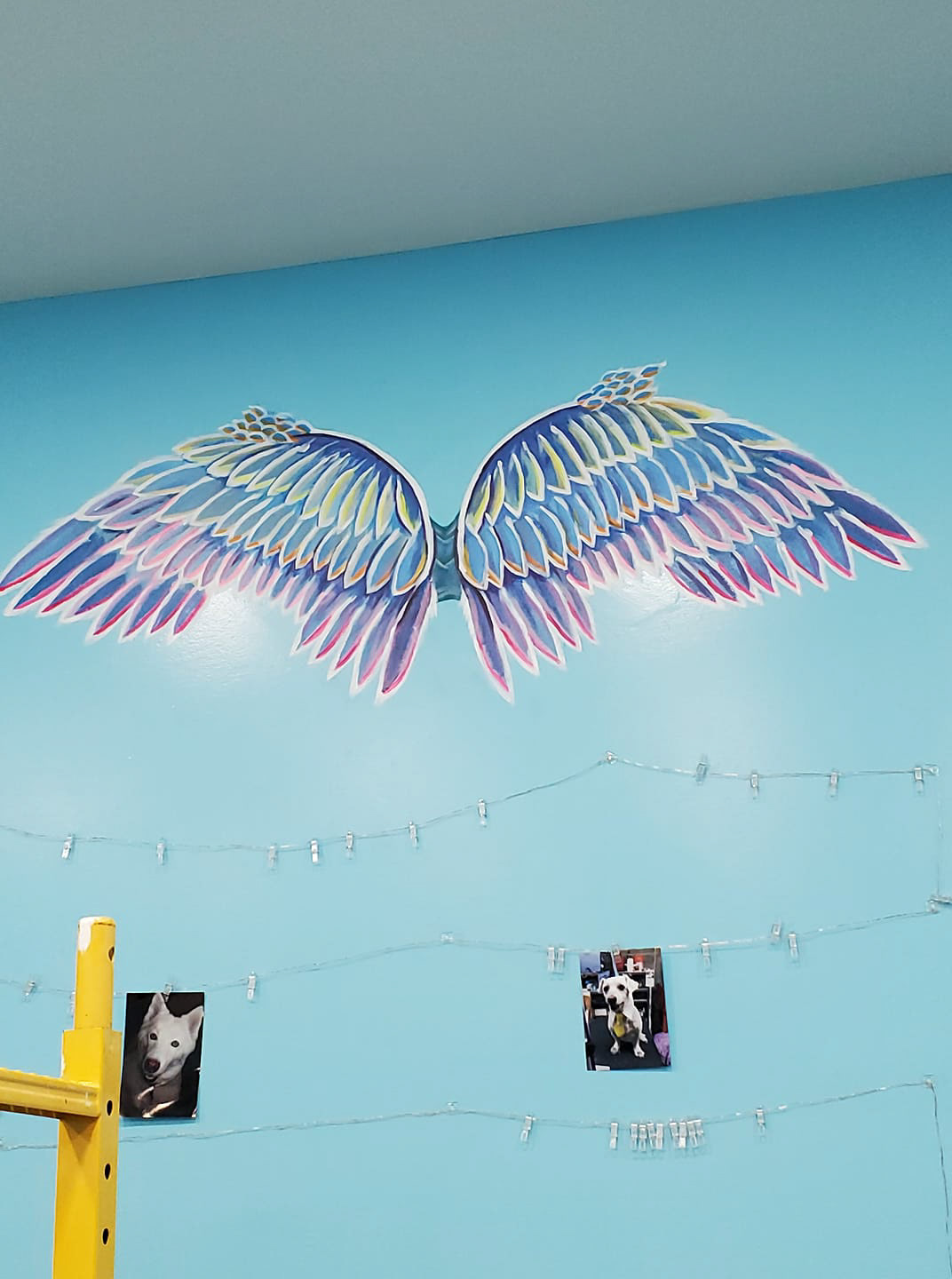 Angel Wing Mural for What The Pup?! LLC