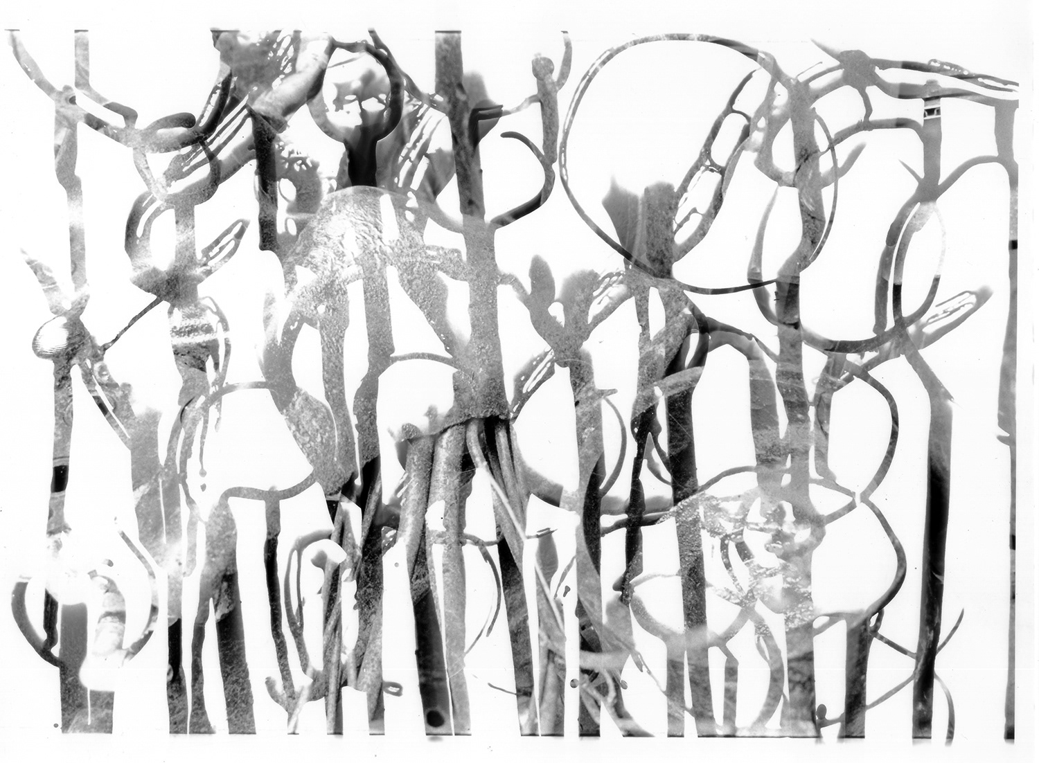 Painting with developer