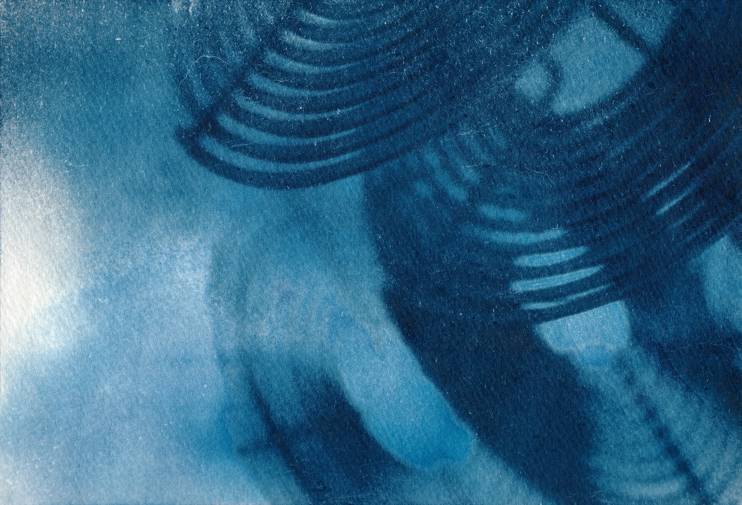 Digital Negative Cyanotype