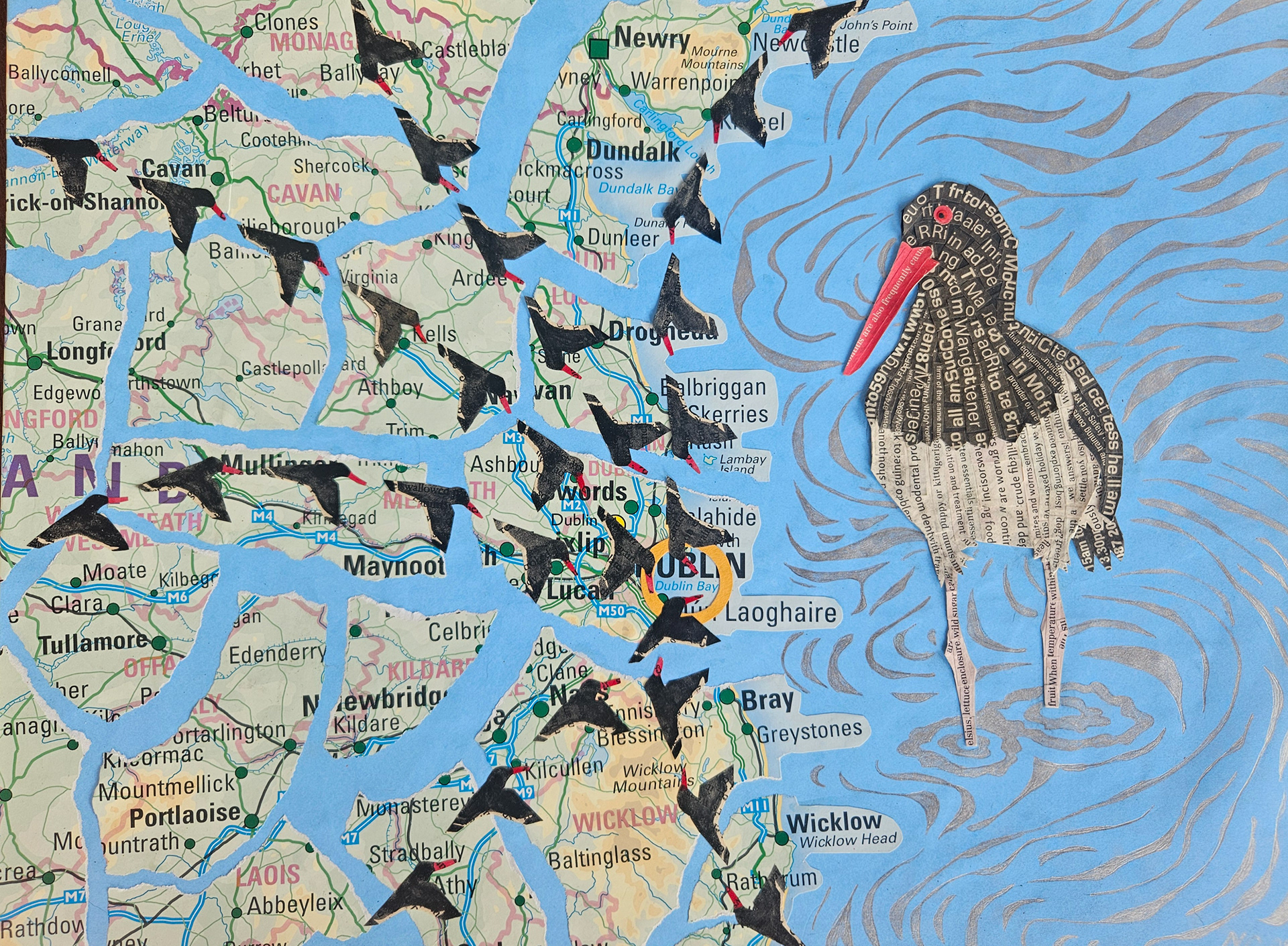 Oystercatchers €145