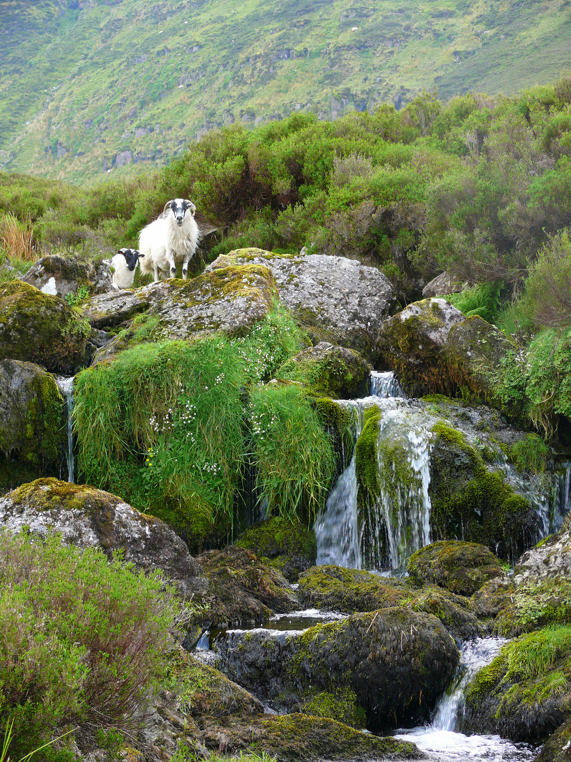 Nire Valley 2