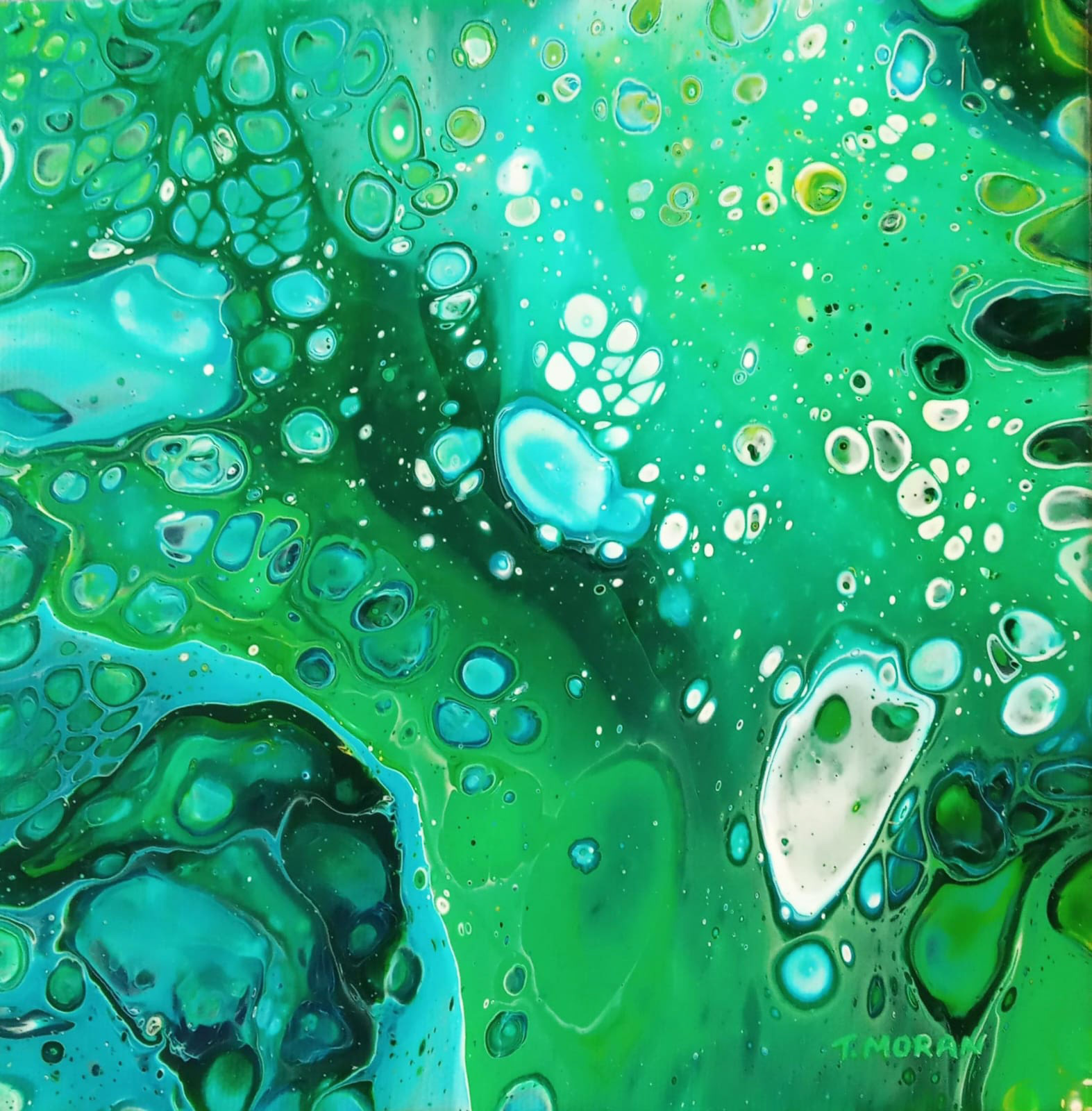 Happy in my Bubble