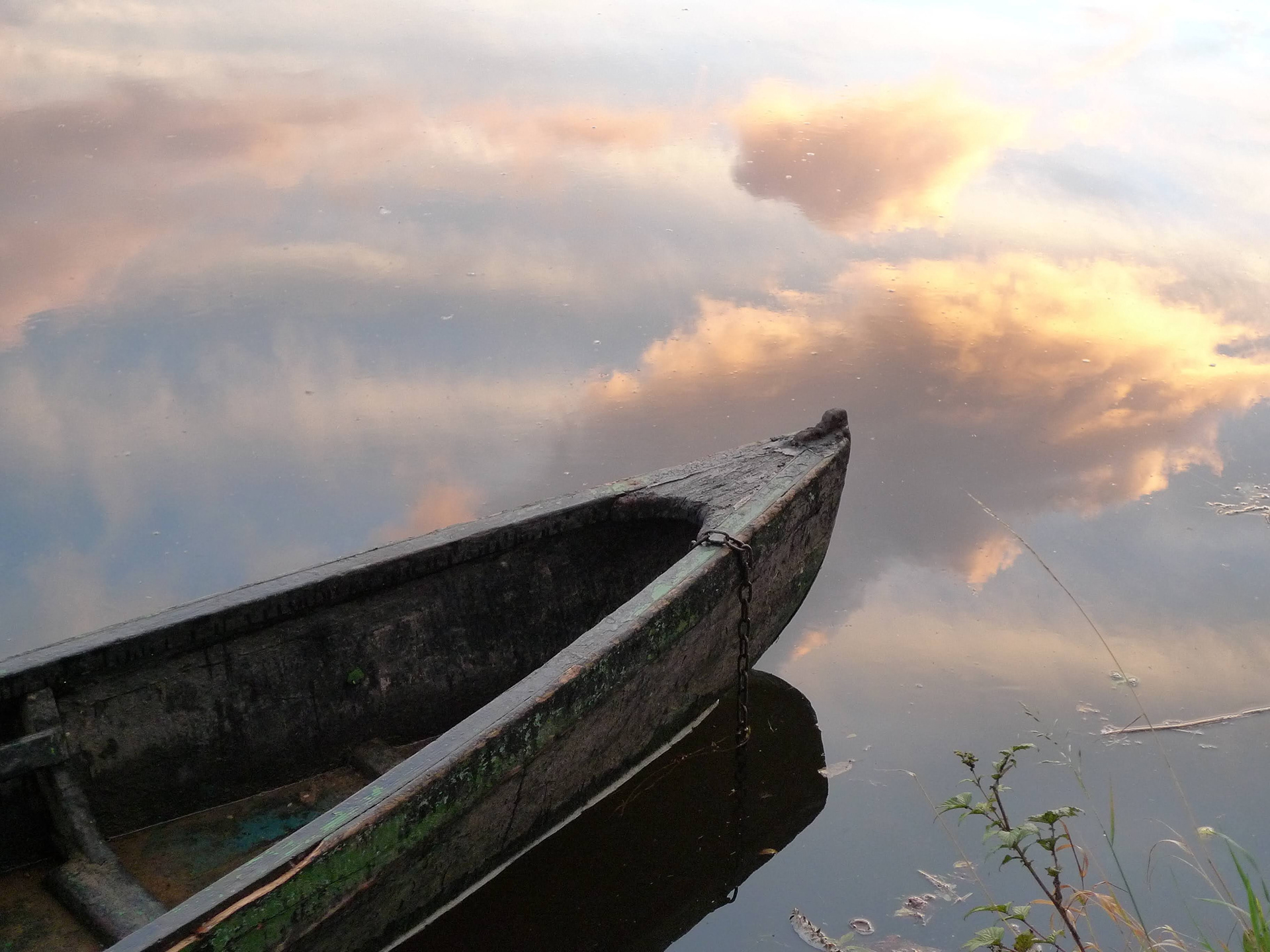 Carrick on Suir Cots 1