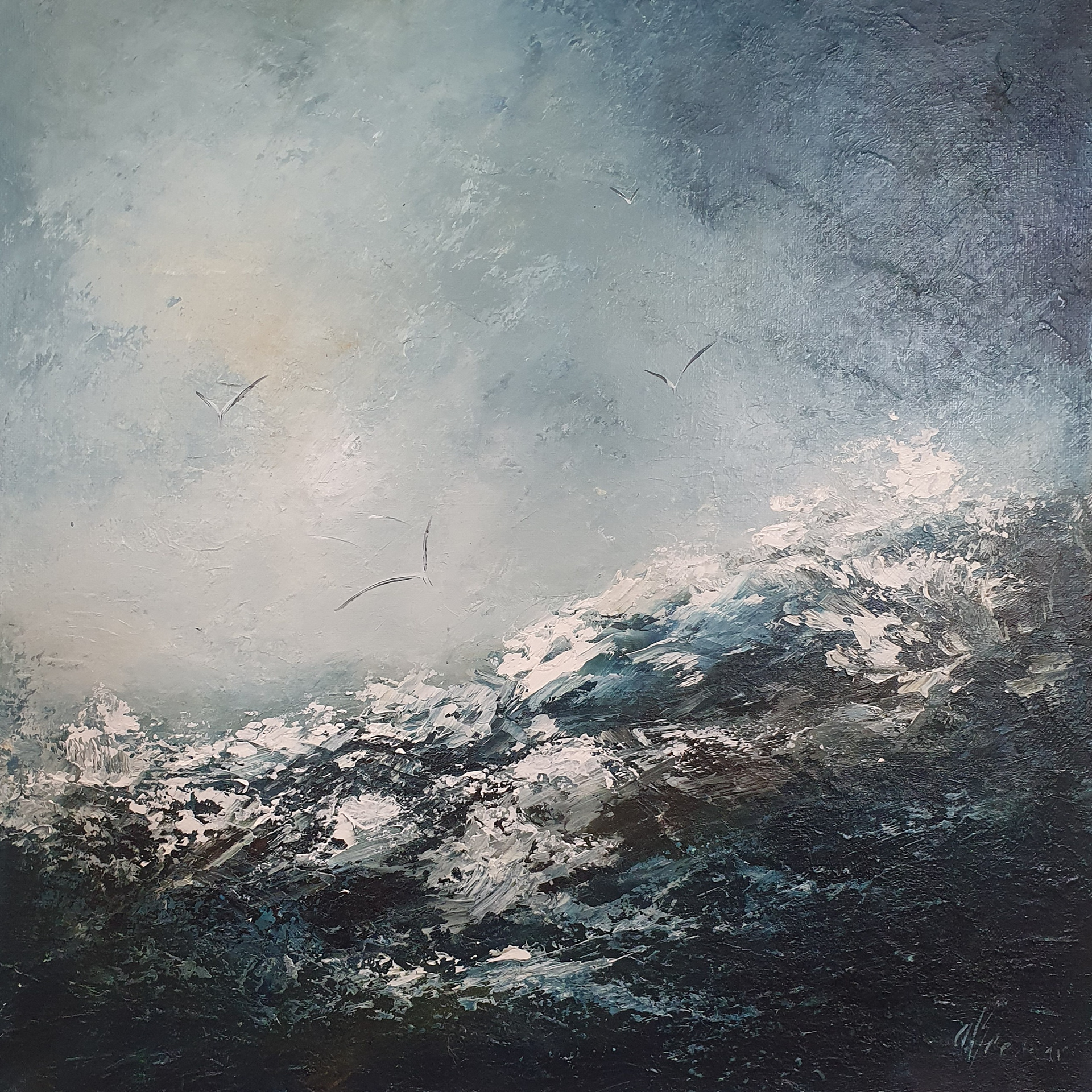 (Relocated) Wild Atlantic Gulls, Canvas 12" x 12" (unframed) - €275