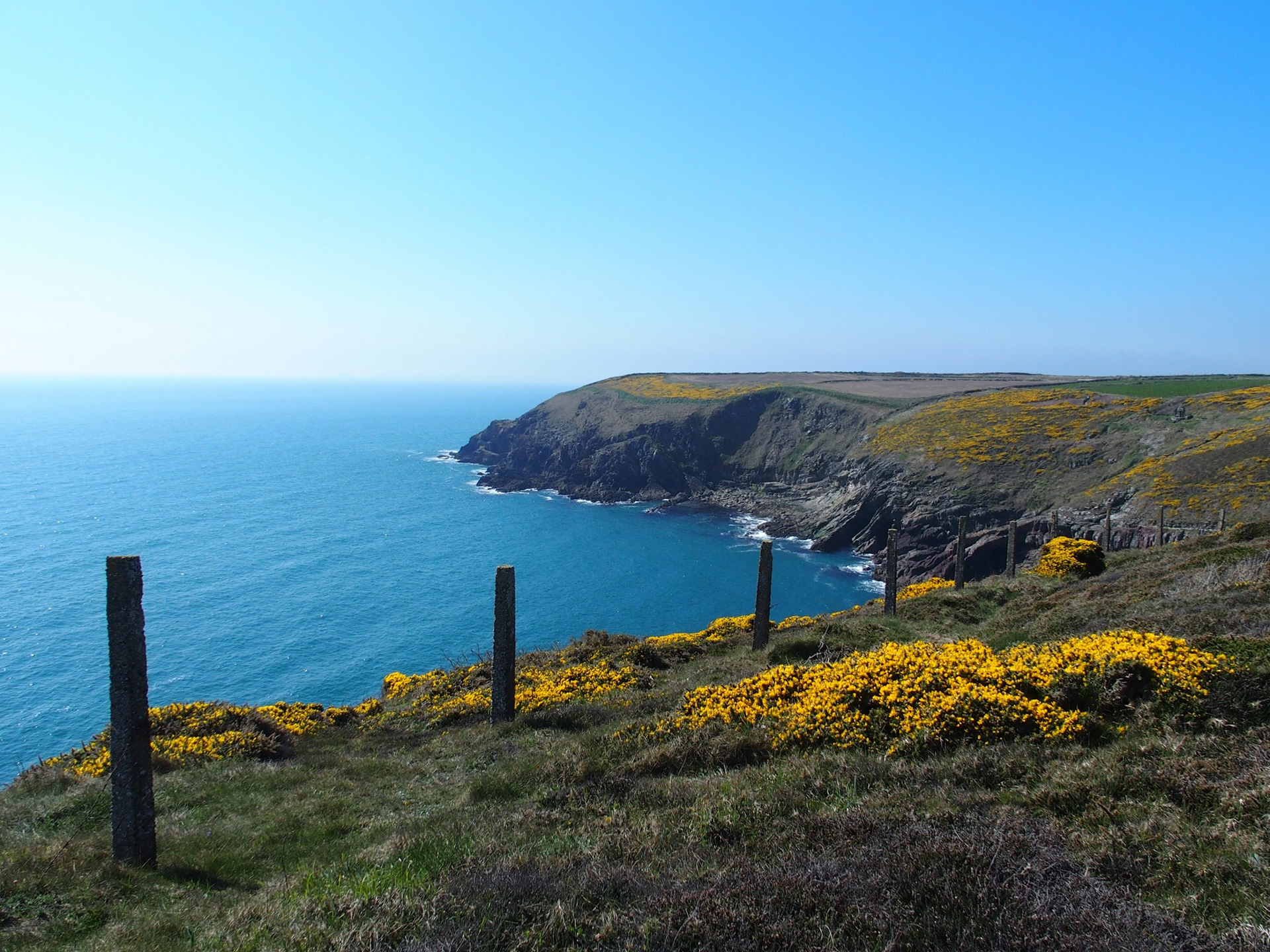 Ardmore cliff walk 1