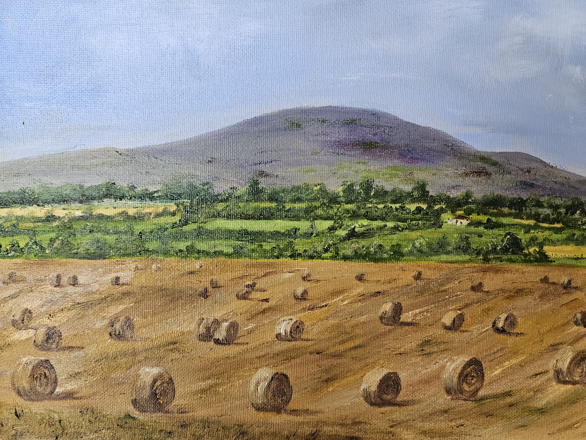 SOLD - Harvest time near Slievenamon 14'' x 11", 20" x 17" framed €280