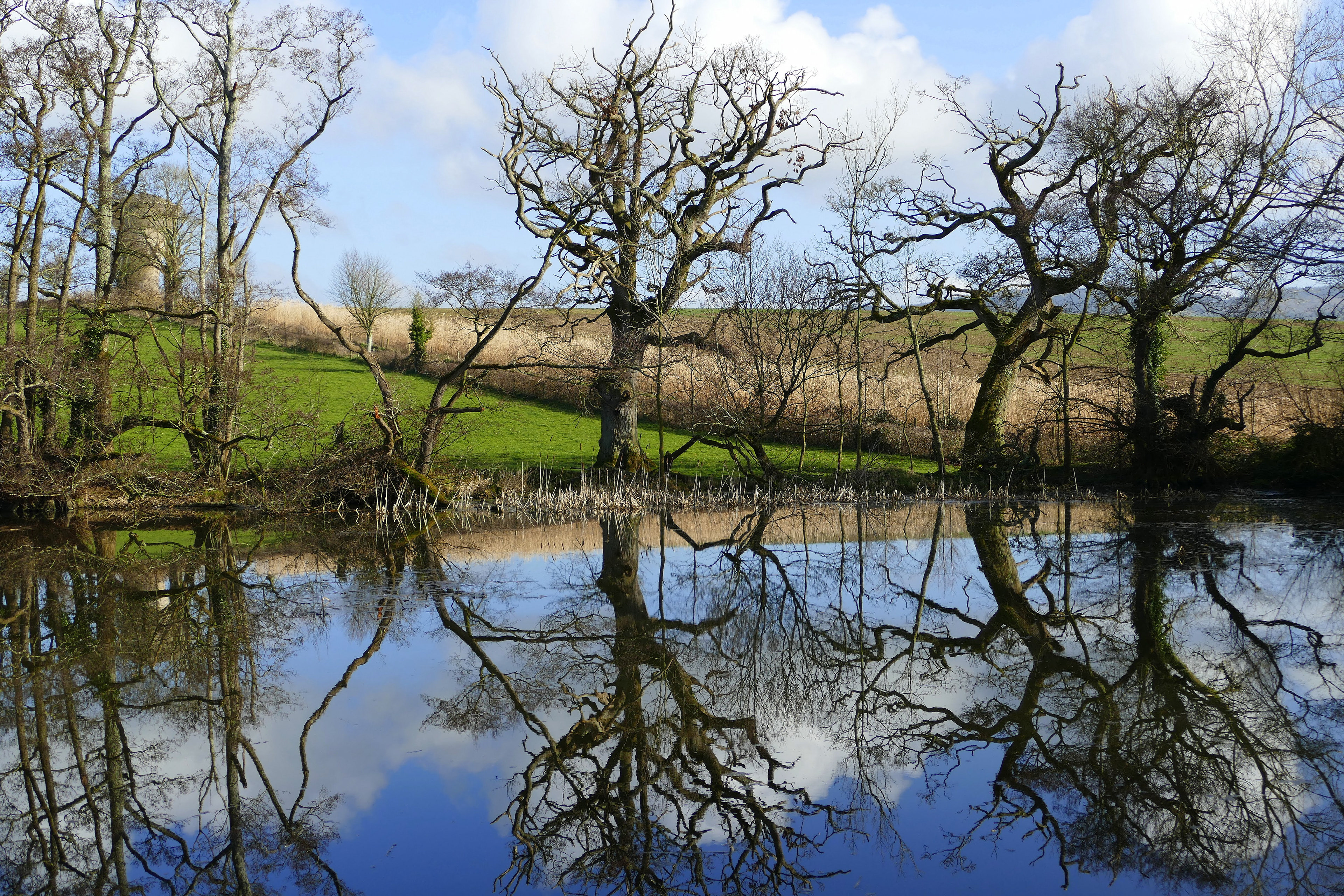 Kildalton College reflections