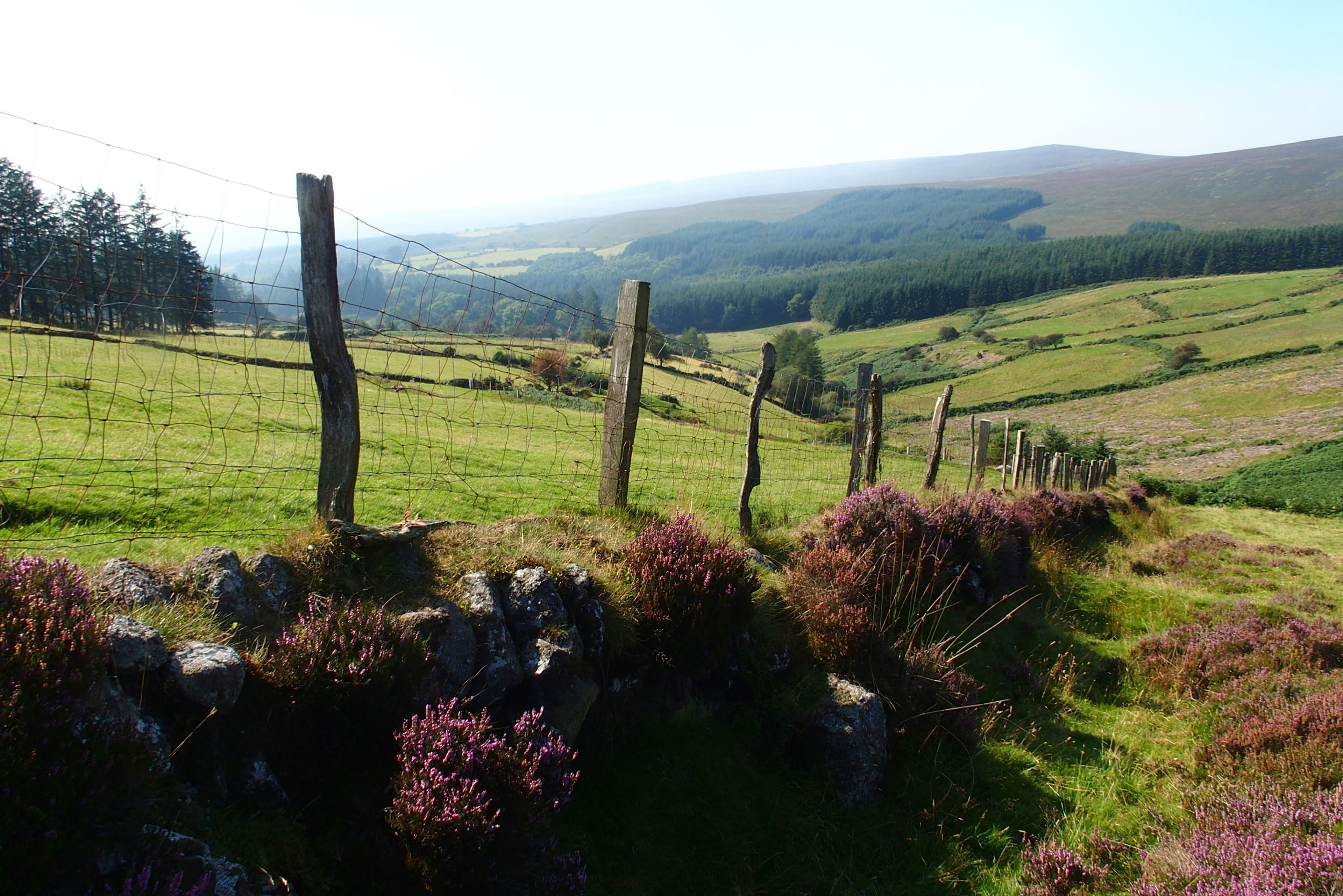 Nire Valley 1