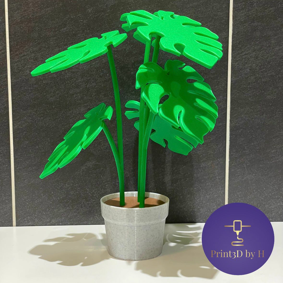 Plant Coaster Set - €25