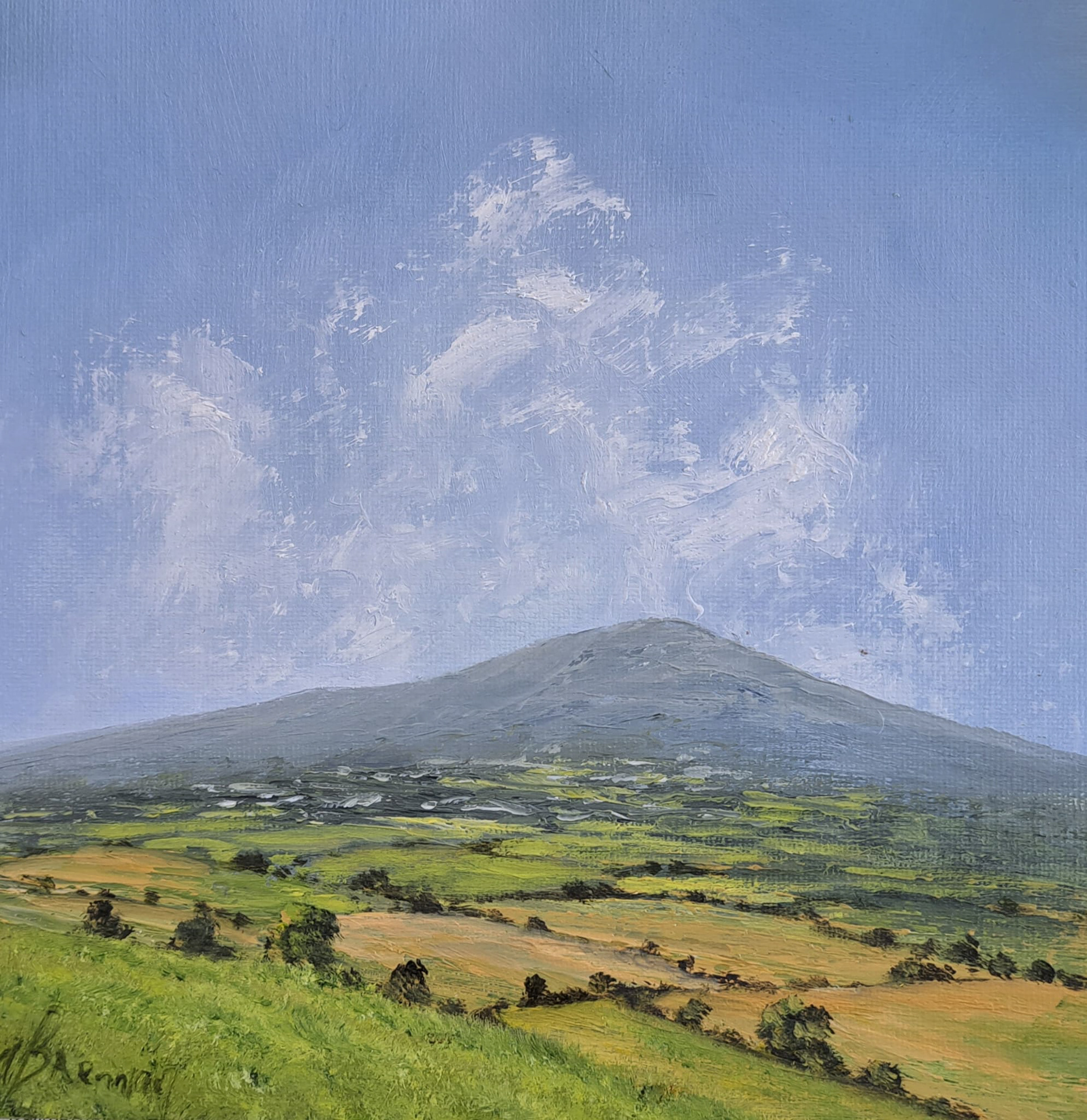 (1) Distant Slievenamon, 8" x 8" canvas, 14" x 14" framed €250
