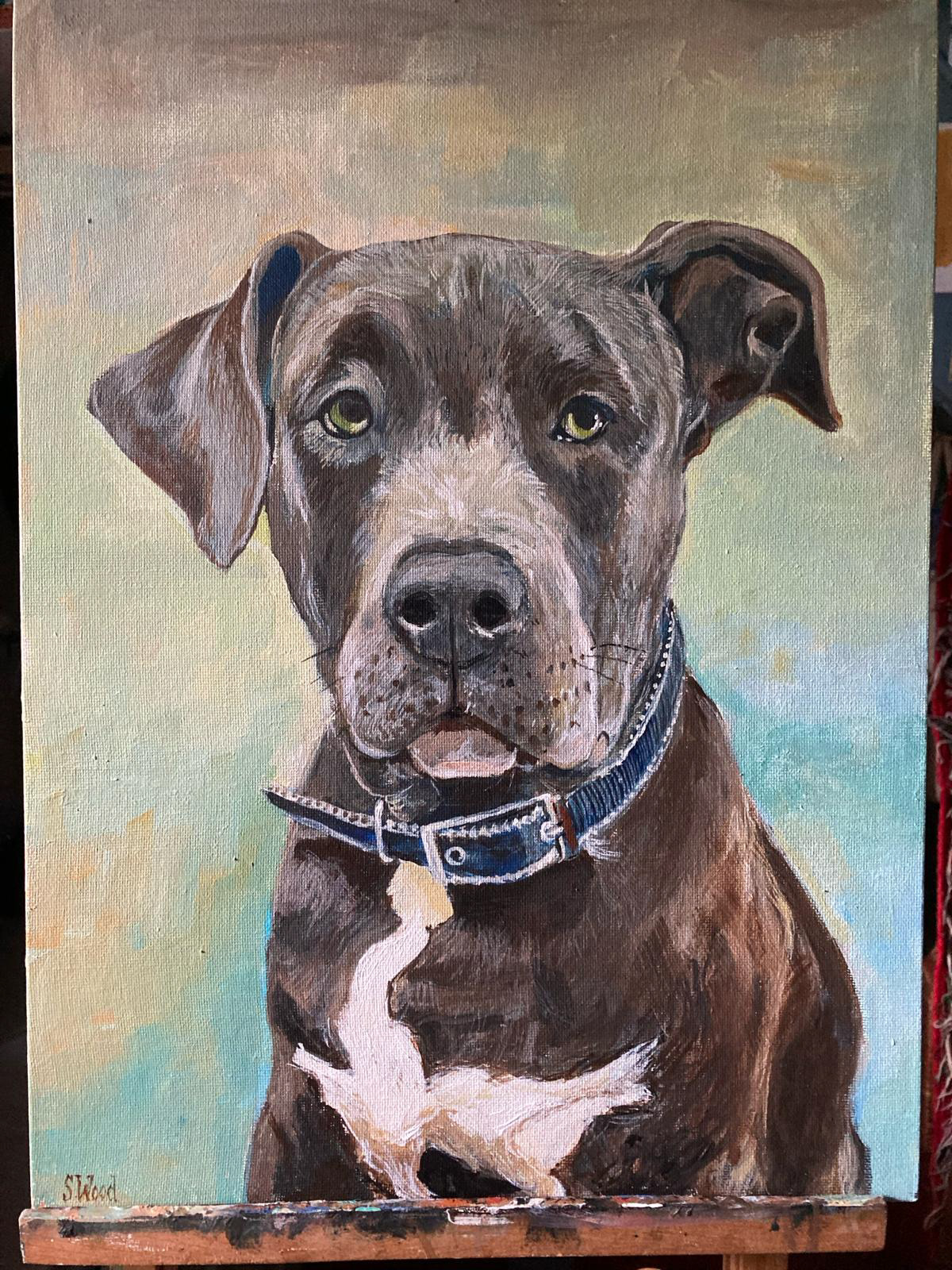 Pet Portrait