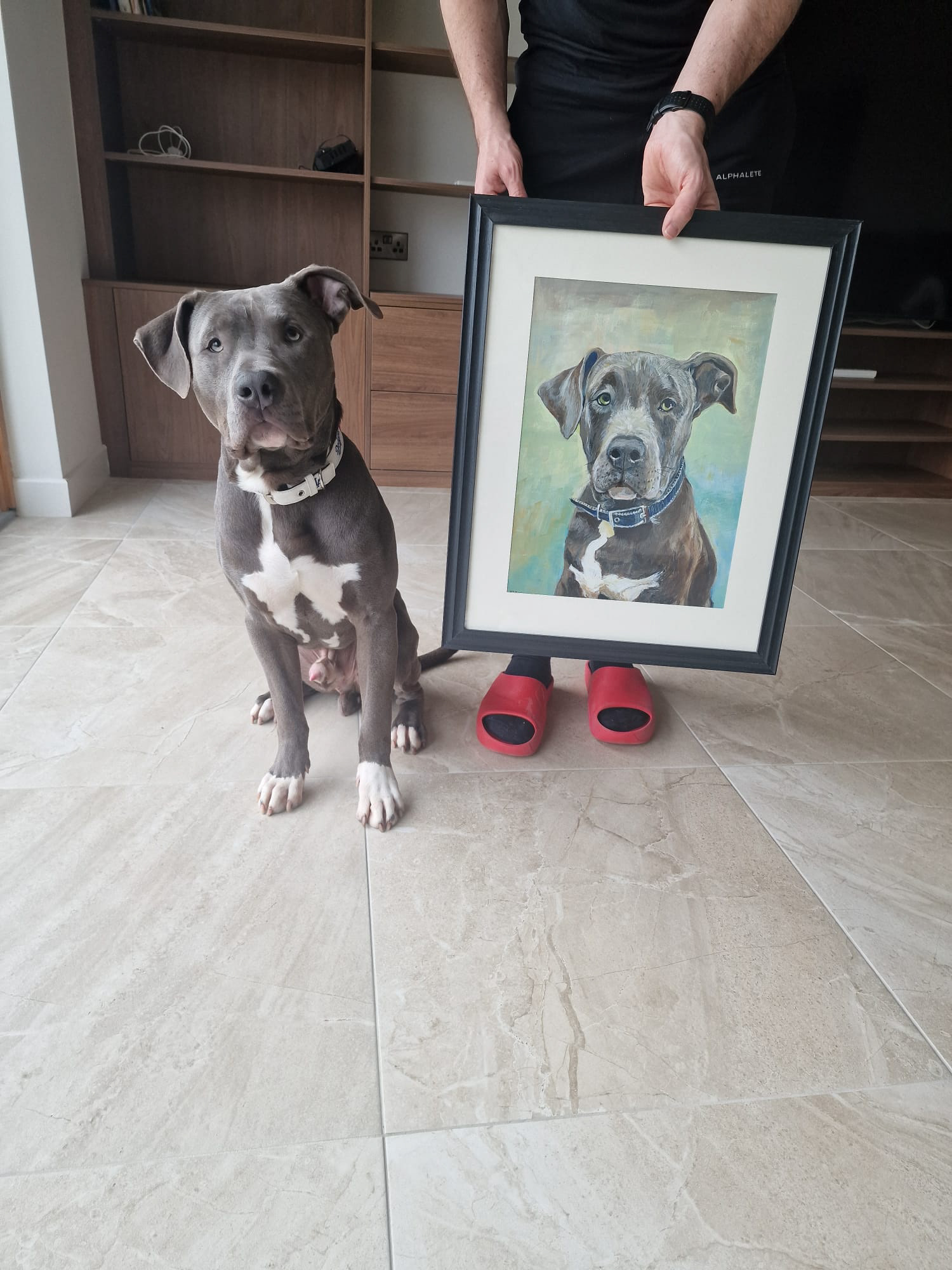 Pet Portrait