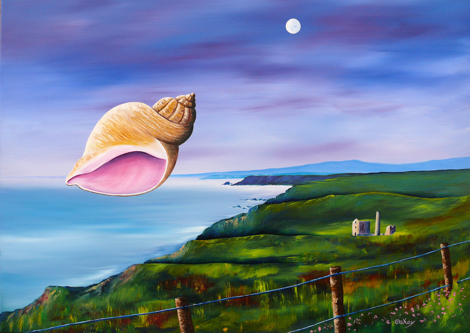 It_s never too late to think like a child.  The view from Tankardstown Copper mine  east of Bonmahon