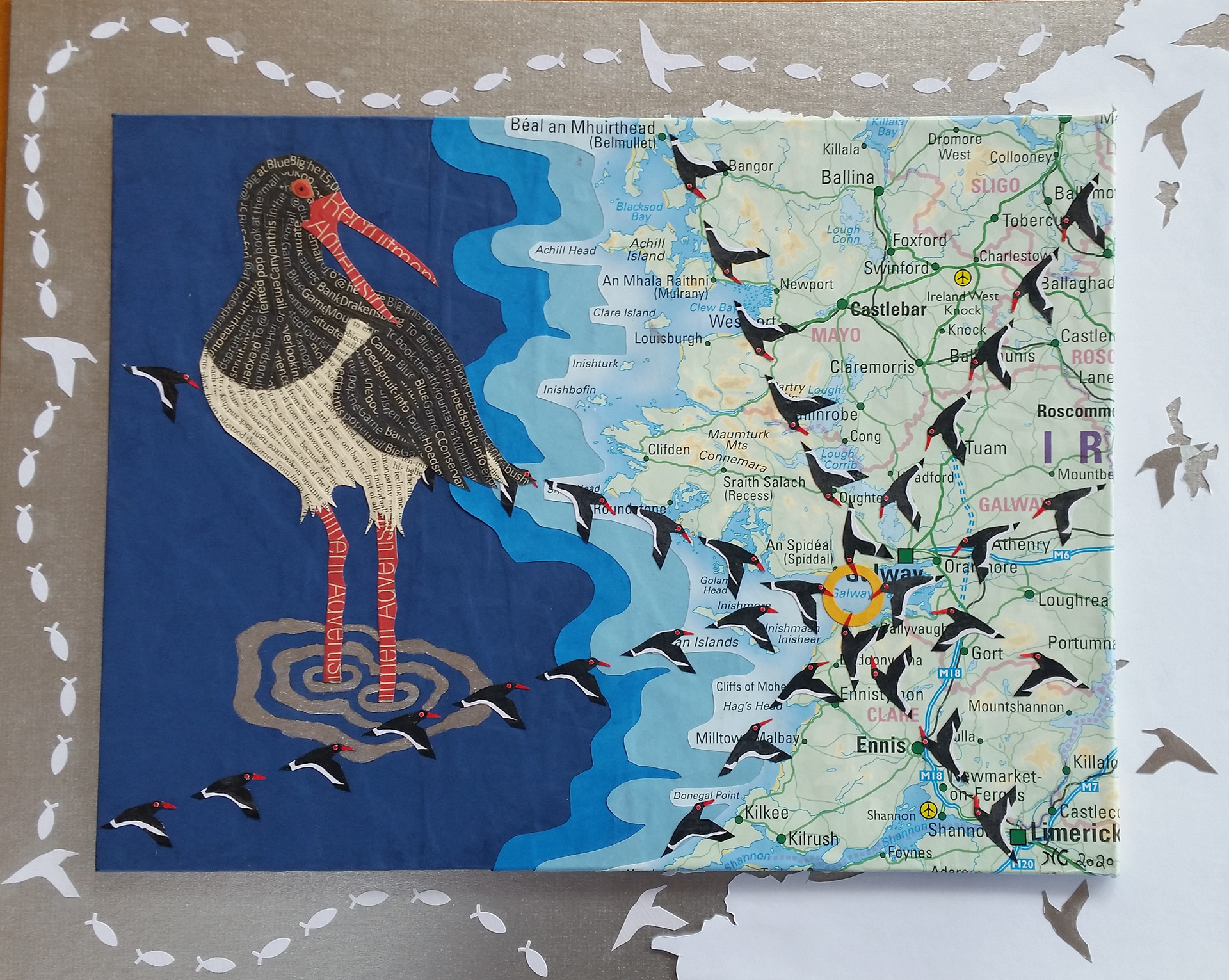 A parcel of oystercatchers - €150