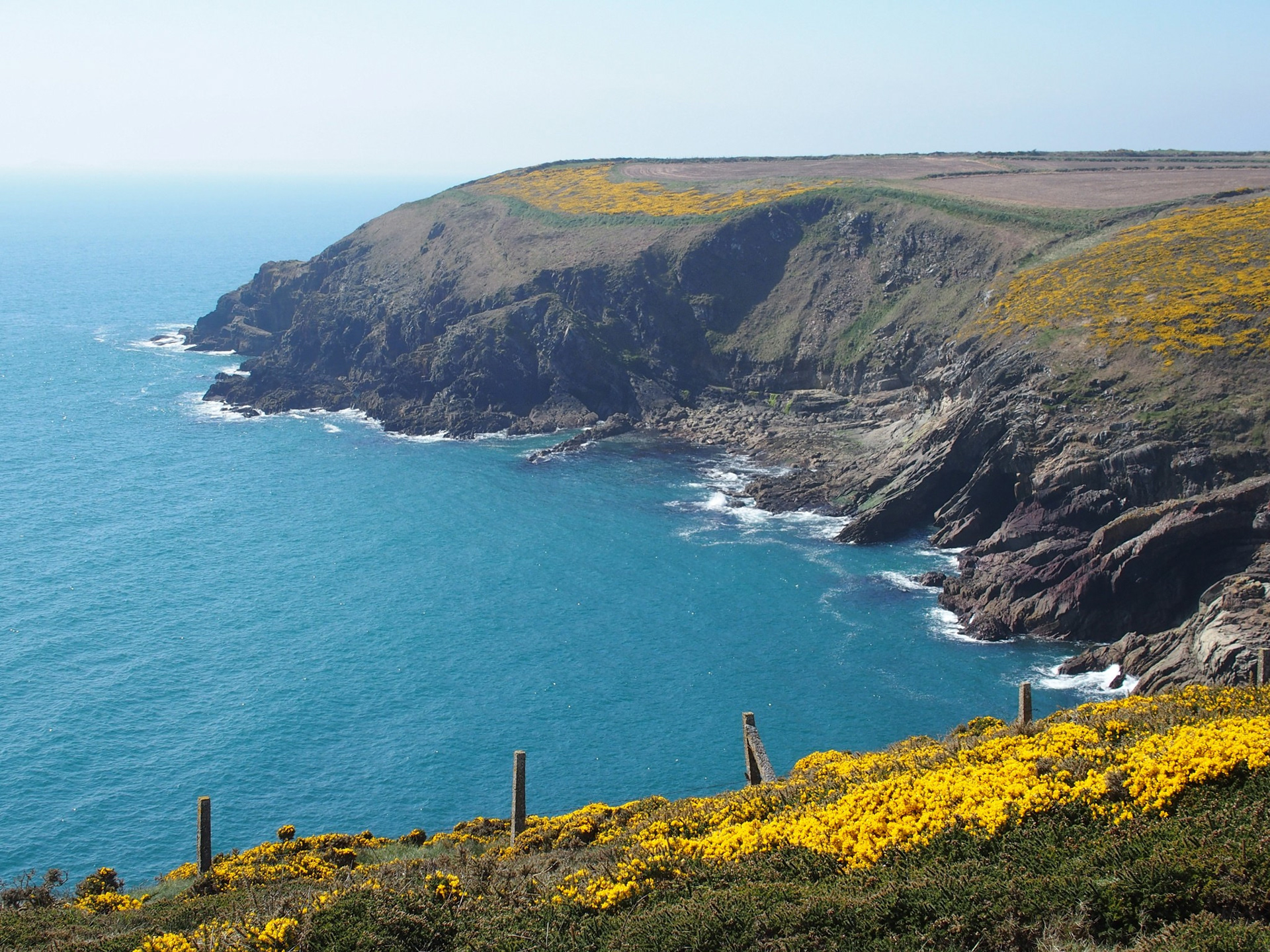 Ardmore cliff walk 2
