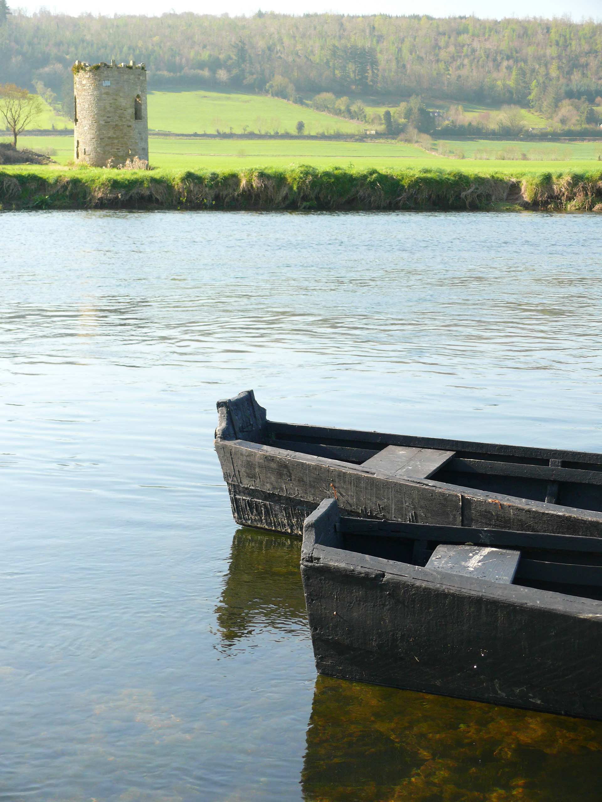 Carrick on Suir Cots 4