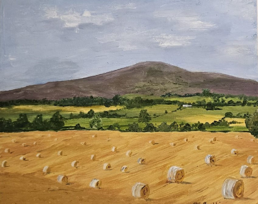 sold - Harvest Time under Slievenamon 12" x 10", Framed 17" x 15", Oil €240