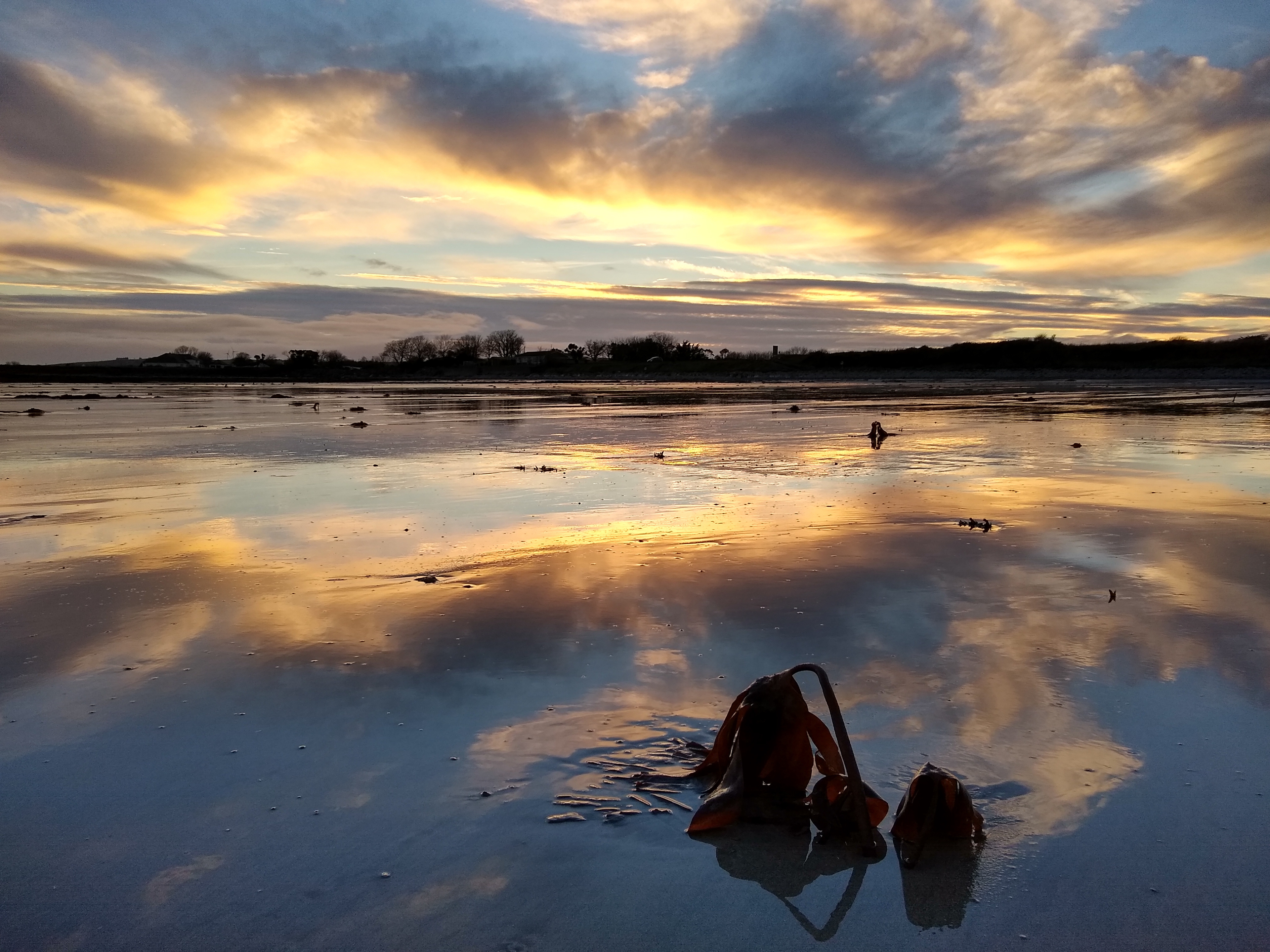 Reflections on Clonea strand