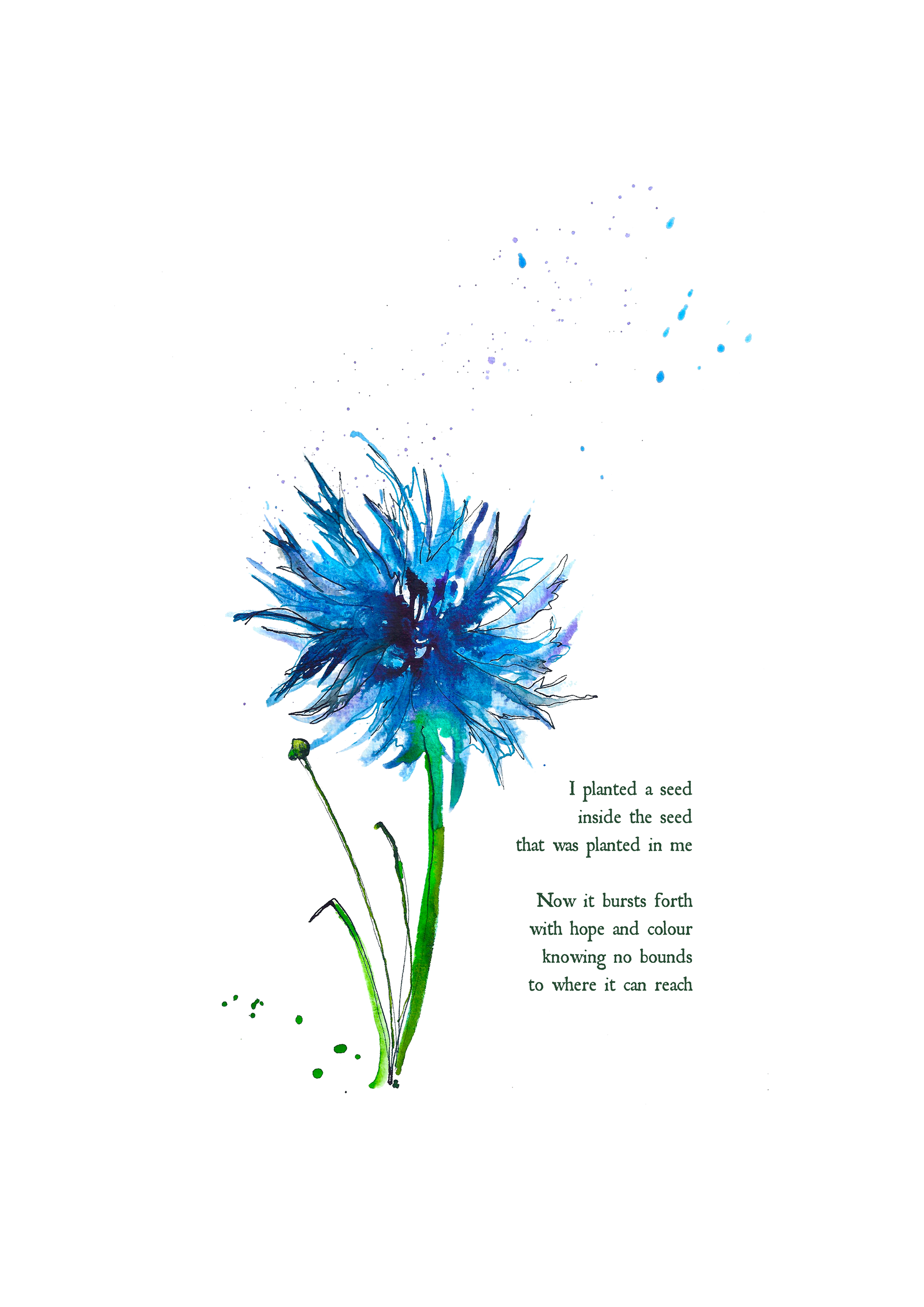 Seed