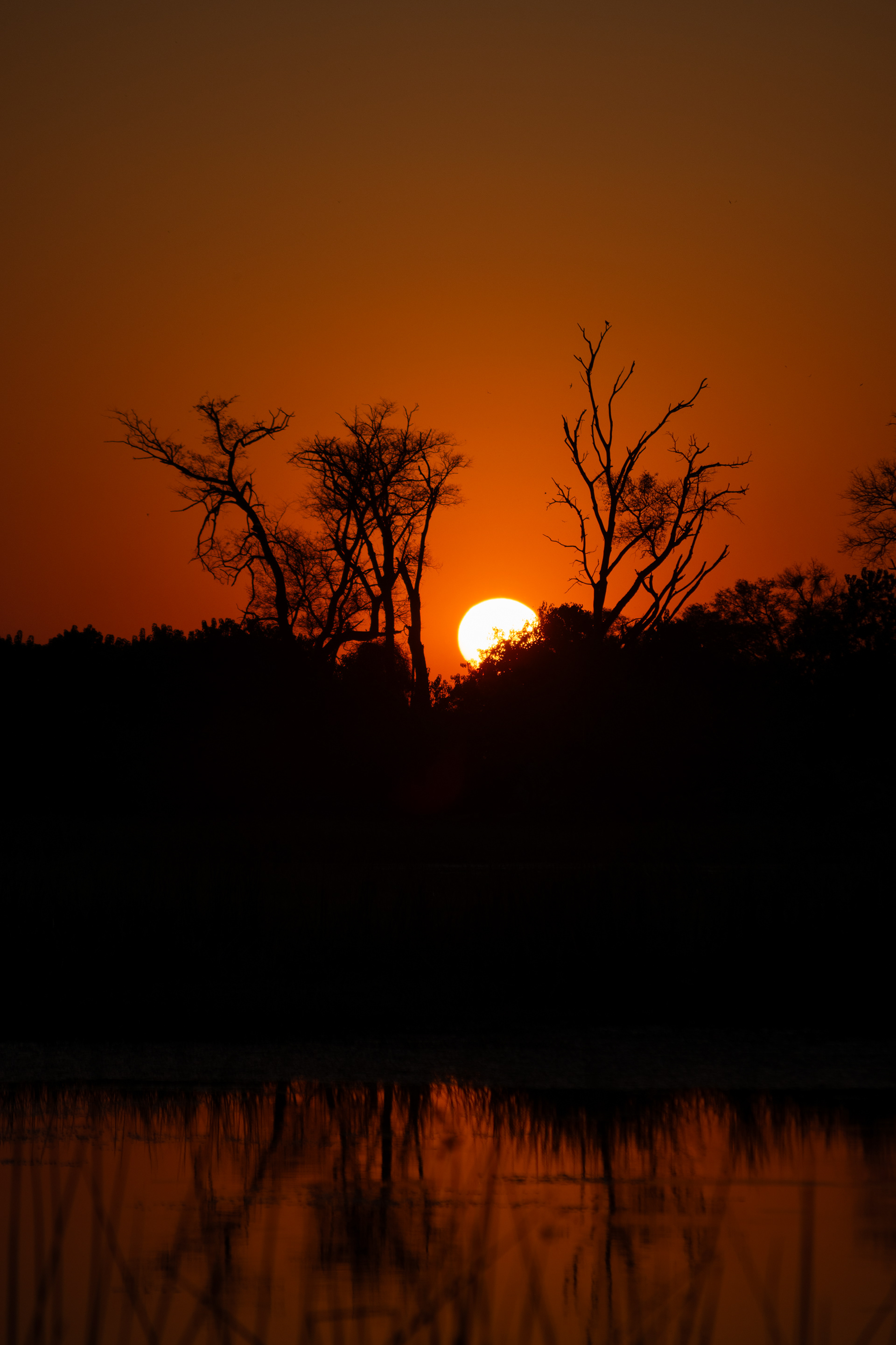 Okavango Delta, Botswana