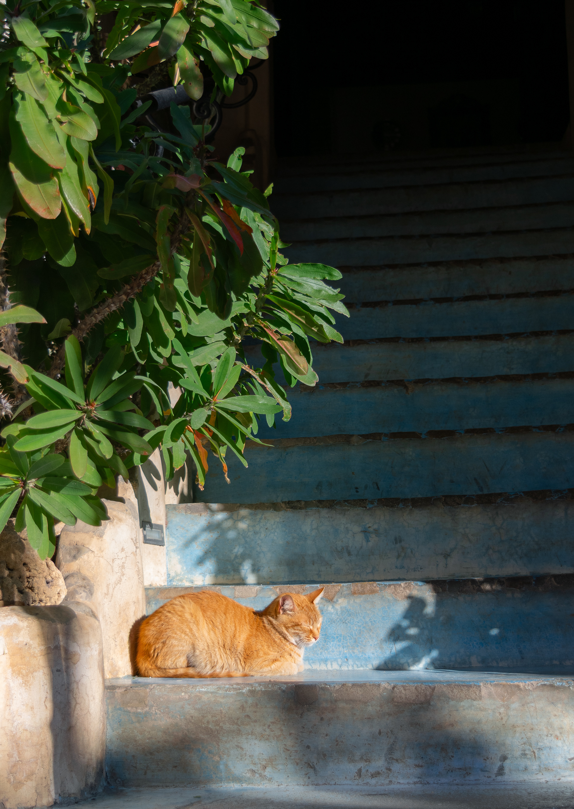 Chefchaouen, Morocco
